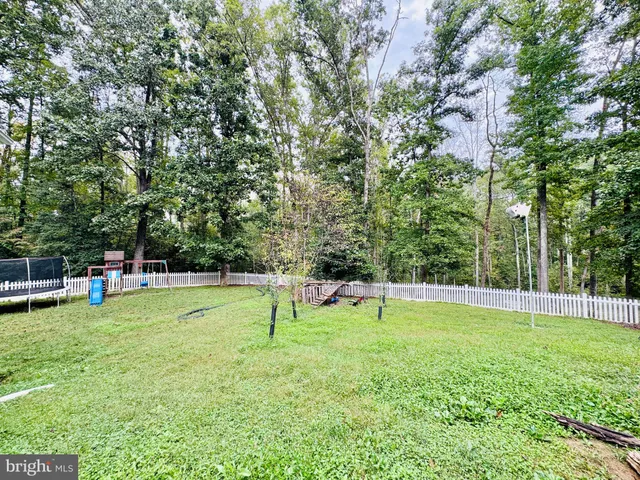 a view of park with tall trees