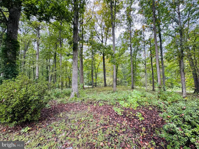 a view of outdoor space and green space