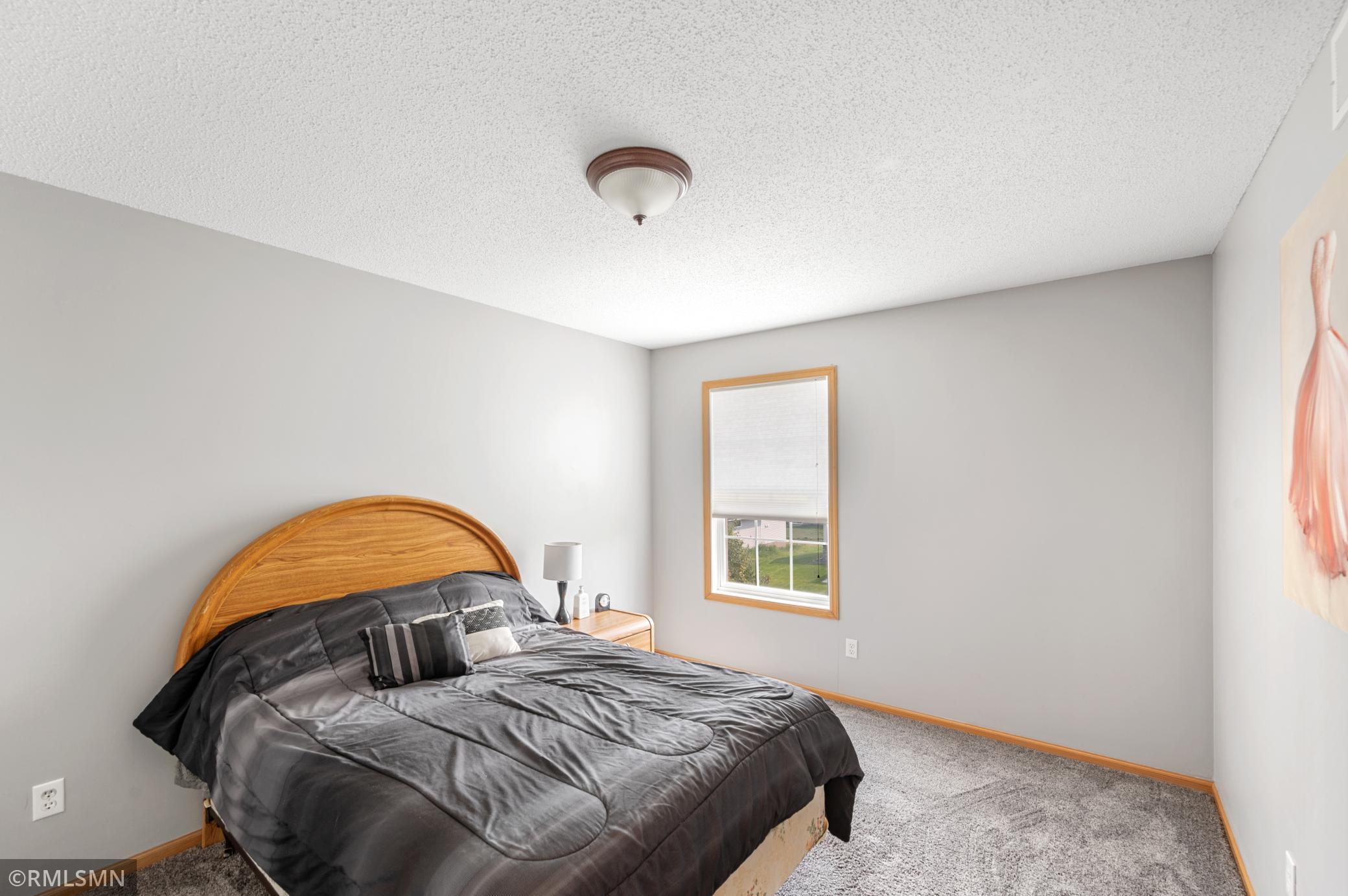 1756 Riverside Drive Shakopee, MN 55379 - Photo 12 of 25