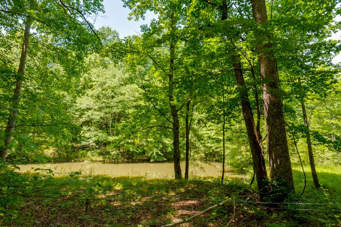 698 Edenway Road Dover, TN 37058 - Photo 25 of 27 Gallery Image 25