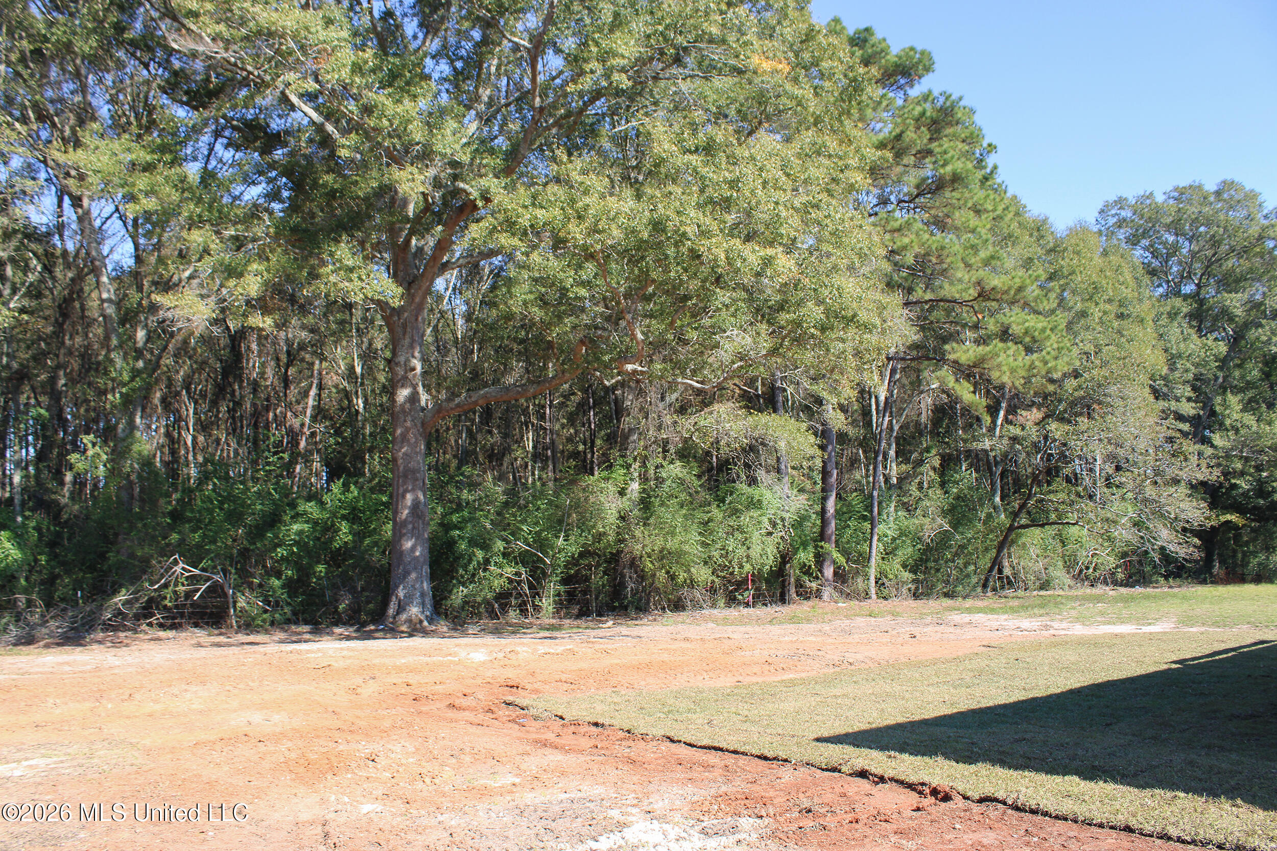 80 Meadow Breeze Road Sumrall, MS 39482 - Photo 28 of 30 28 Back Yard