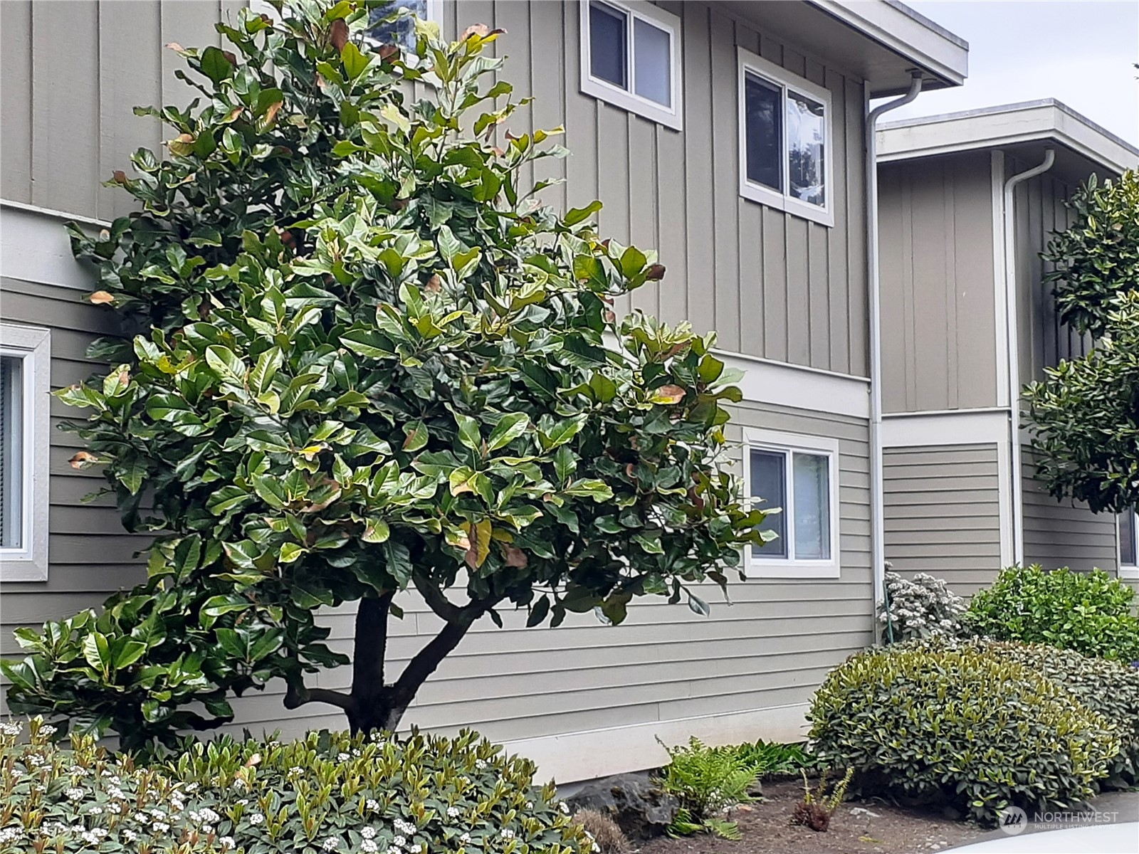 7813 218th Street Southwest, Unit 52 Edmonds, WA 98026 - Photo 1 of 15 Gallery Image 1