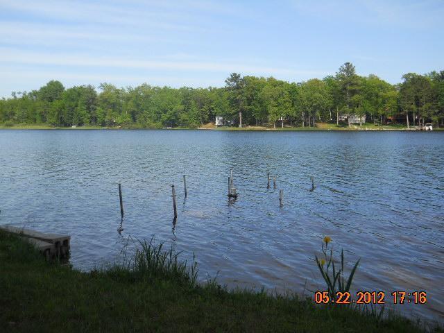 52 North Jack Pine Road Fountain, MI 49410 - Photo 6 of 18 Additional Photo