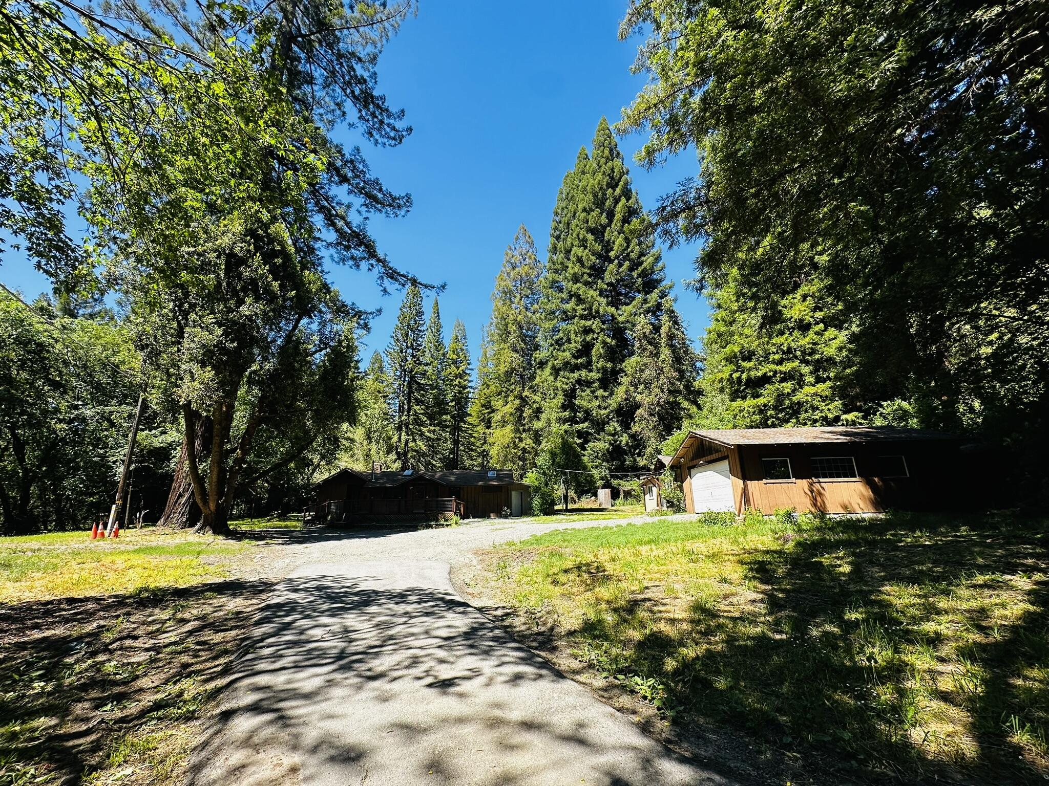 2675 Briceland Road Redway, CA 95560 - Photo 5 of 113 IMG_1216