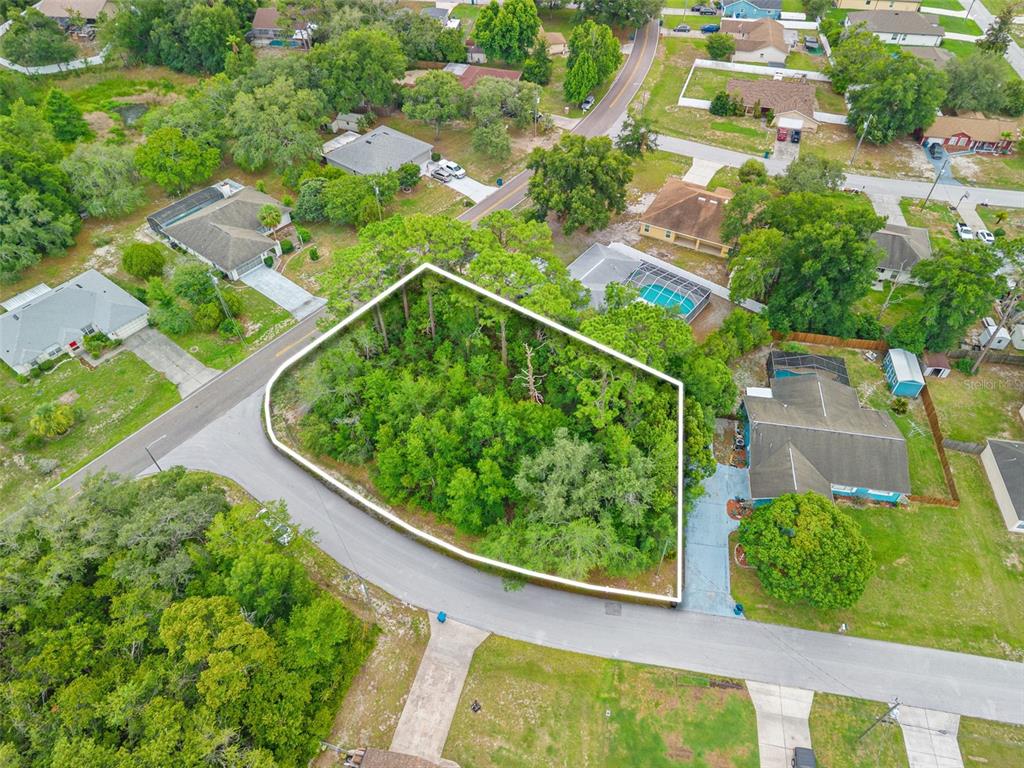 Horizon Dr Spring Hill Spring Hill, FL 34608 - Photo 7 of 12