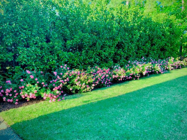 $895,000 | 4278 Home Town Lane, Ravenel, SC 29470