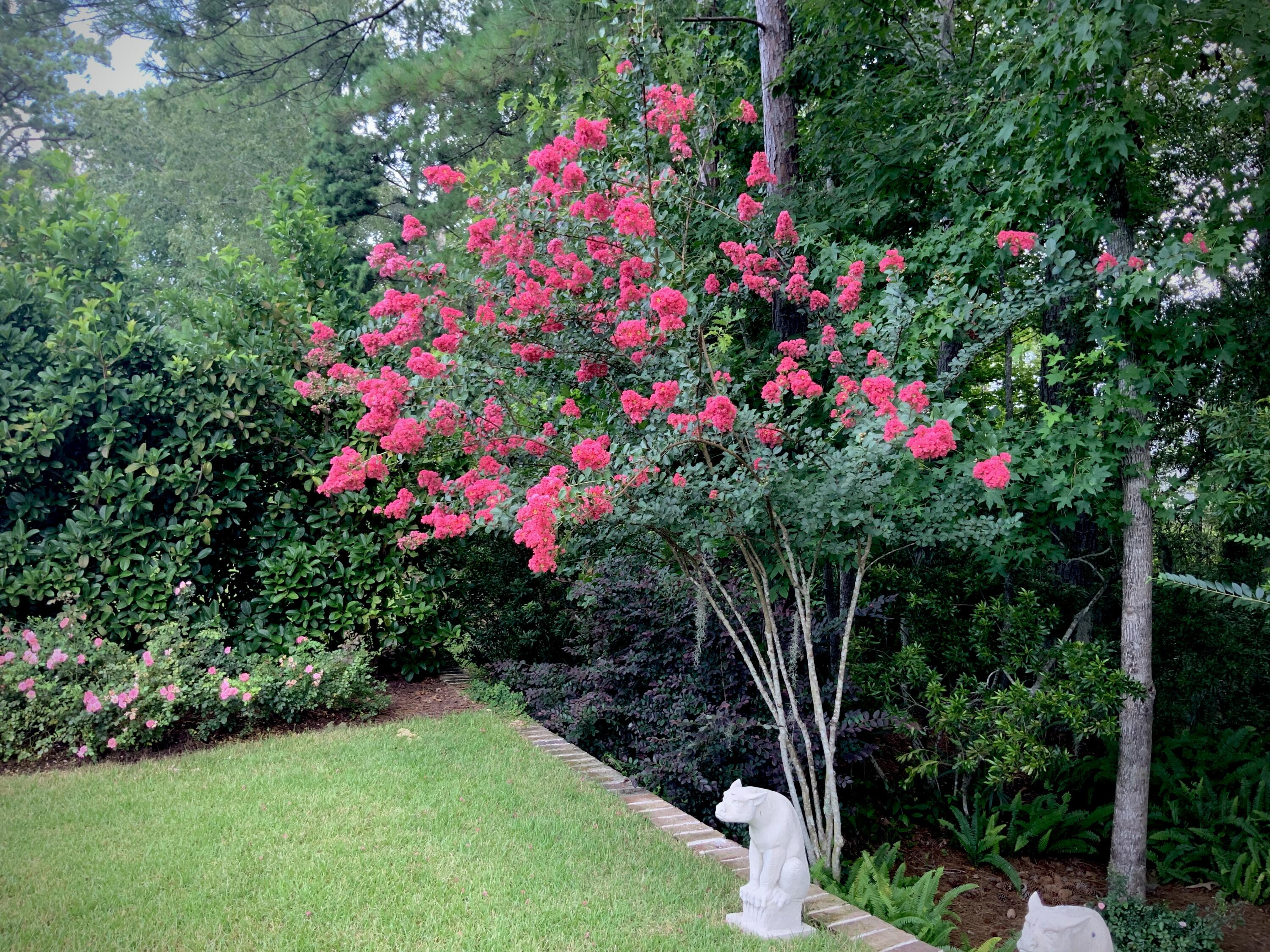 4278 Home Town Lane Ravenel, SC 29470 - Photo 44 of 80 IMG_1927