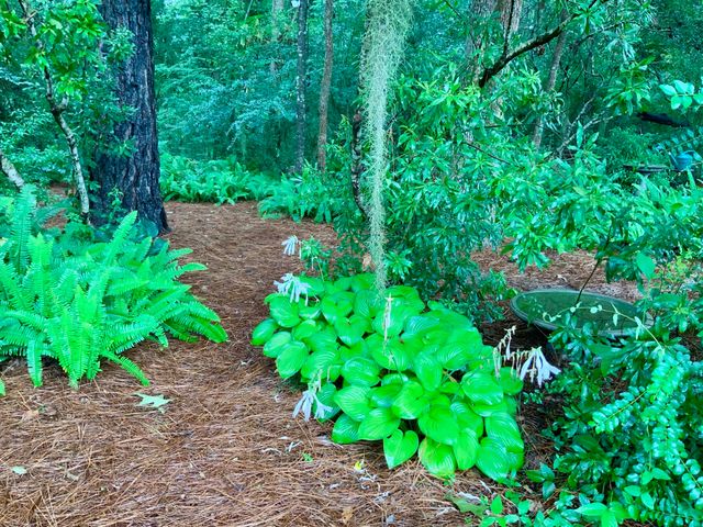 $895,000 | 4278 Home Town Lane, Ravenel, SC 29470