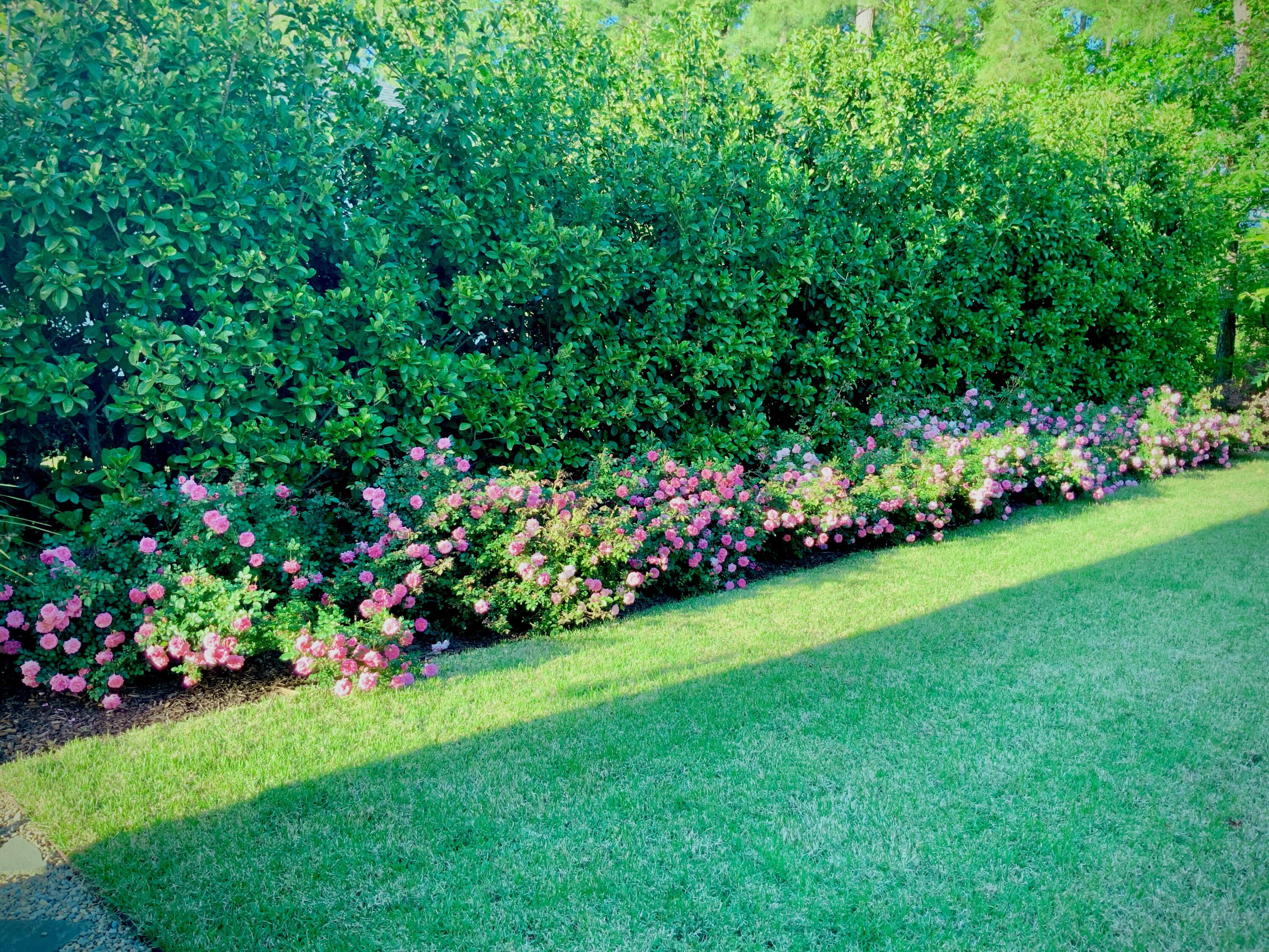 4278 Home Town Lane Ravenel, SC 29470 - Photo 45 of 80 IMG_3042