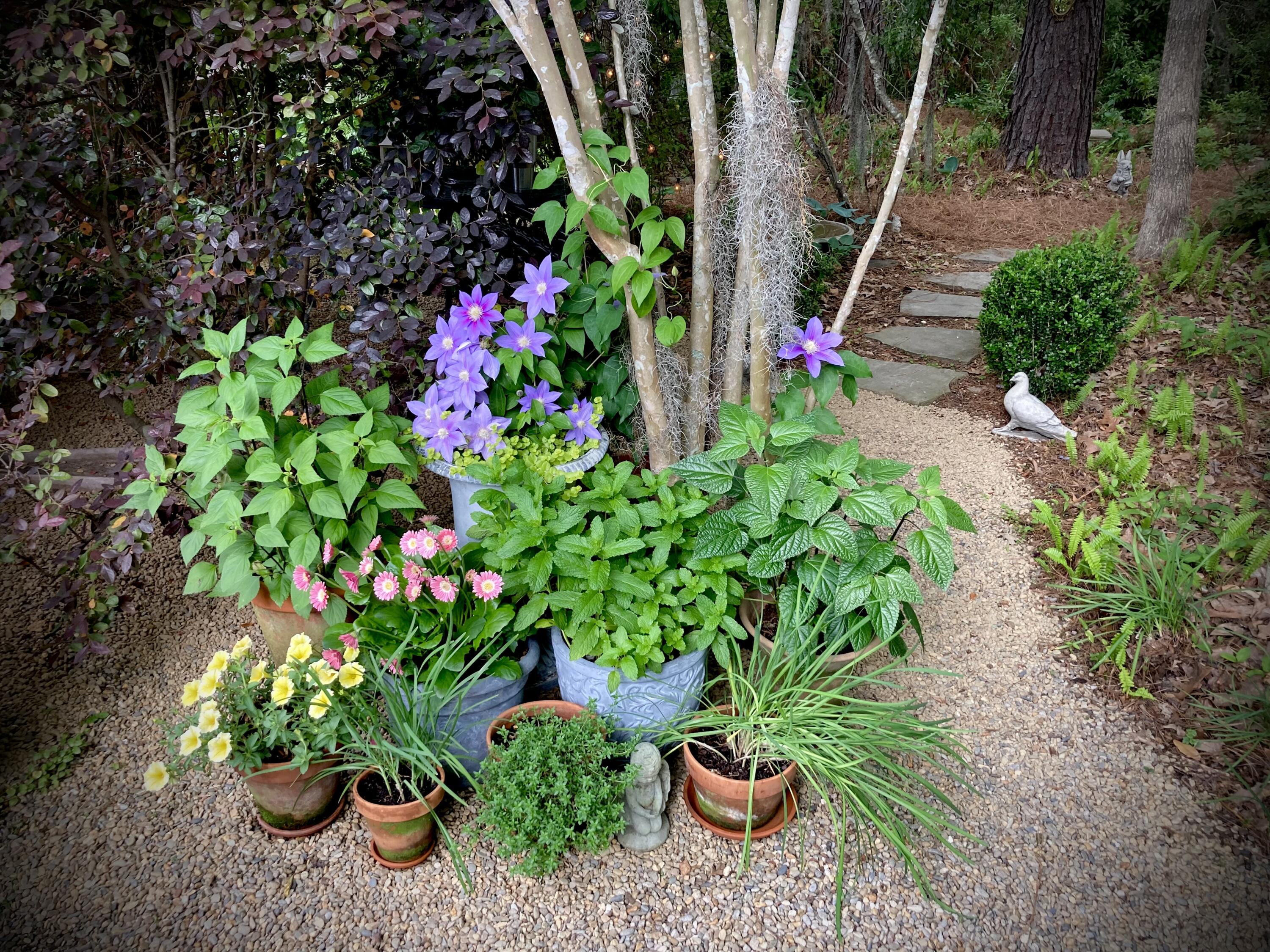 4278 Home Town Lane Ravenel, SC 29470 - Photo 49 of 80 IMG_3434