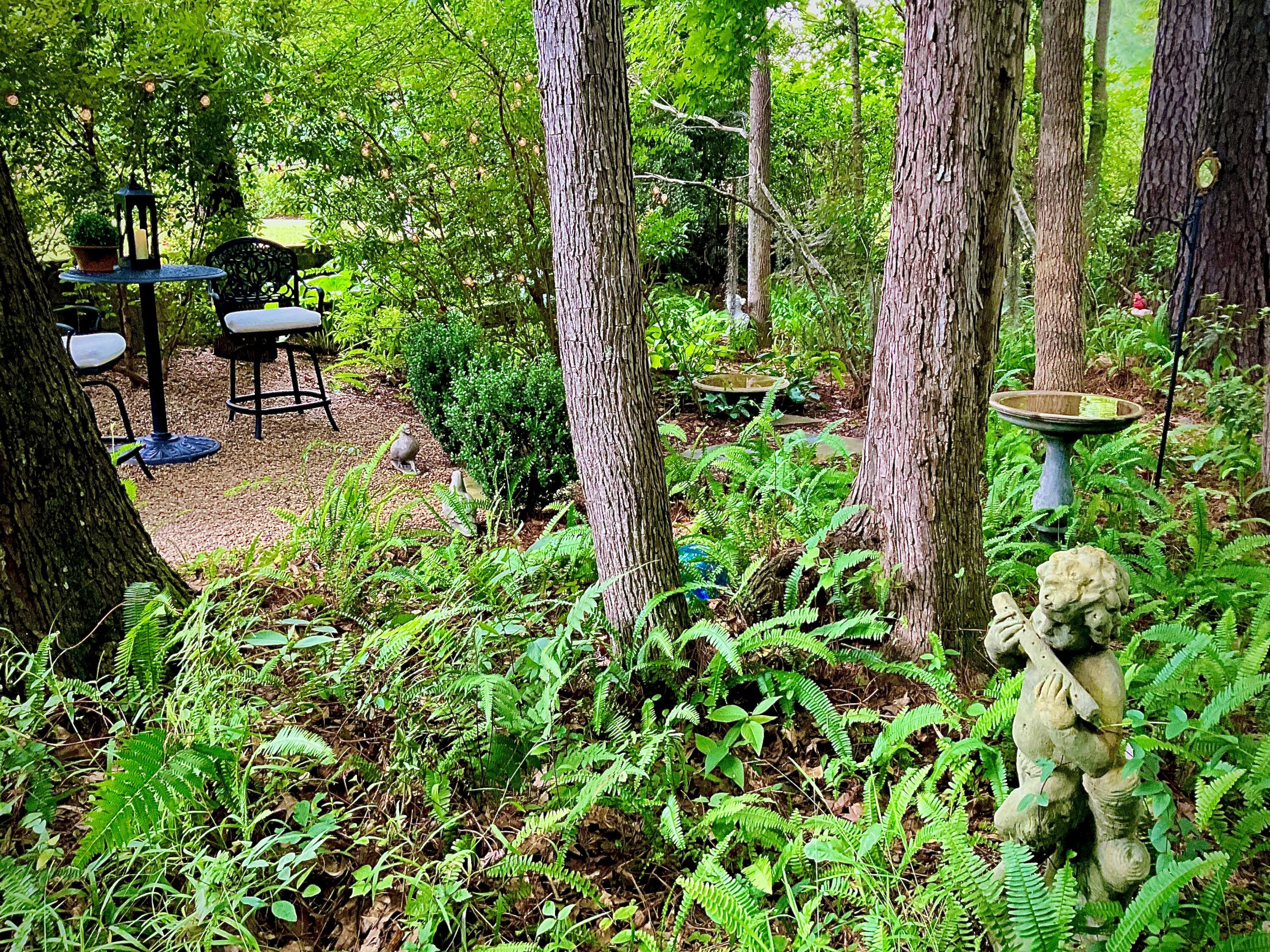 4278 Home Town Lane Ravenel, SC 29470 - Photo 51 of 80 IMG_6348