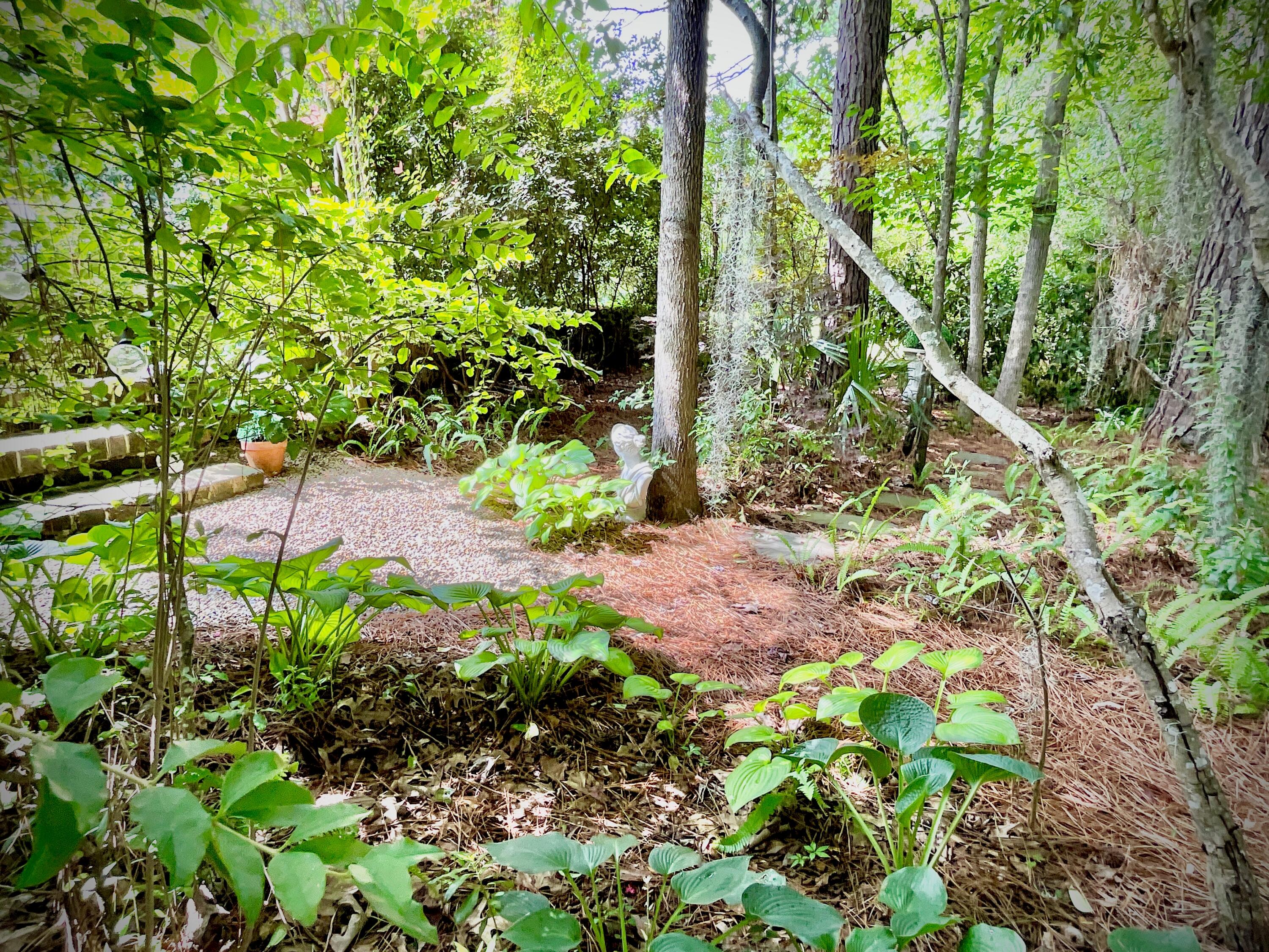 4278 Home Town Lane Ravenel, SC 29470 - Photo 55 of 80 IMG_7983