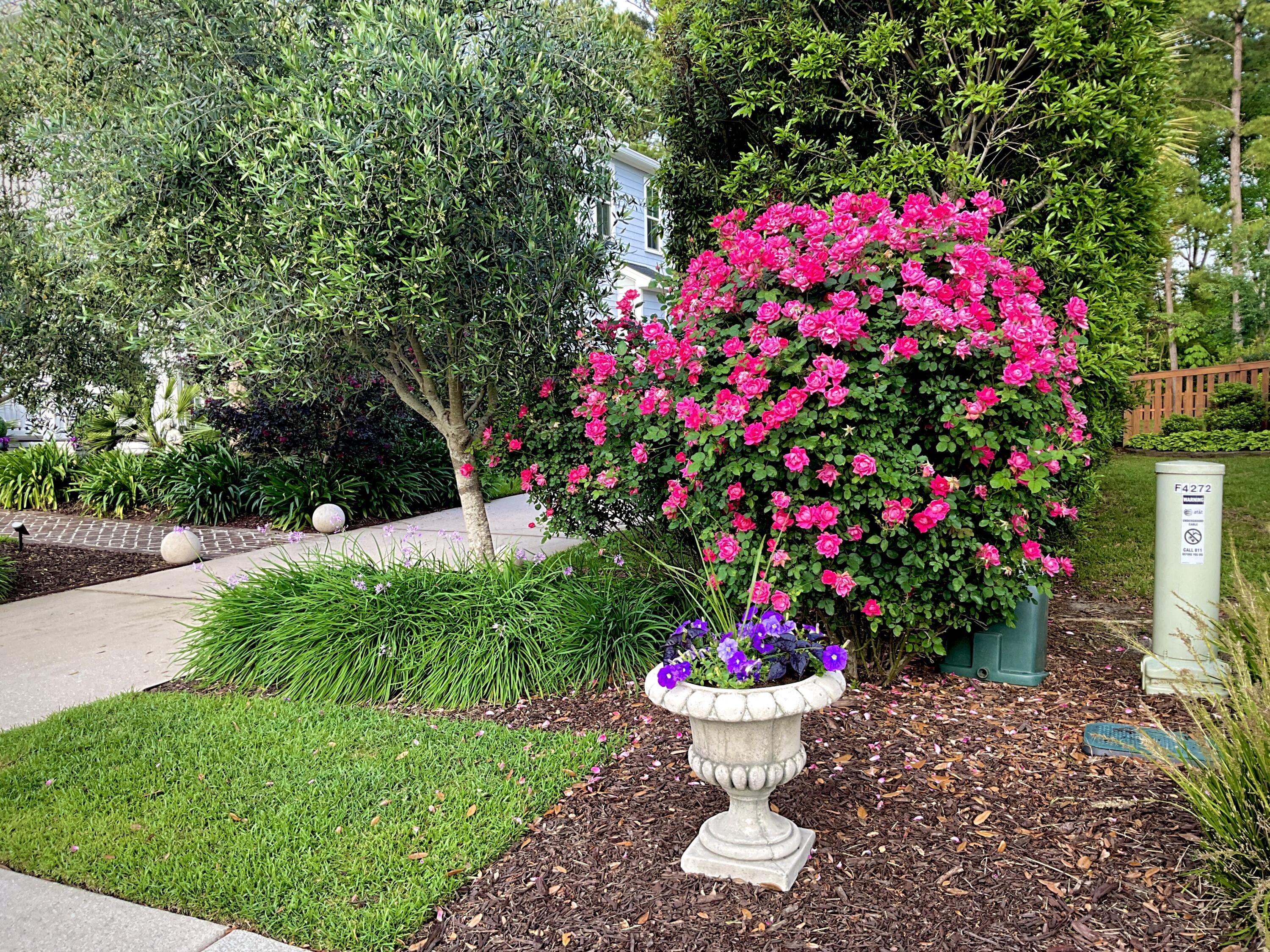 4278 Home Town Lane Ravenel, SC 29470 - Photo 61 of 80 IMG_5537