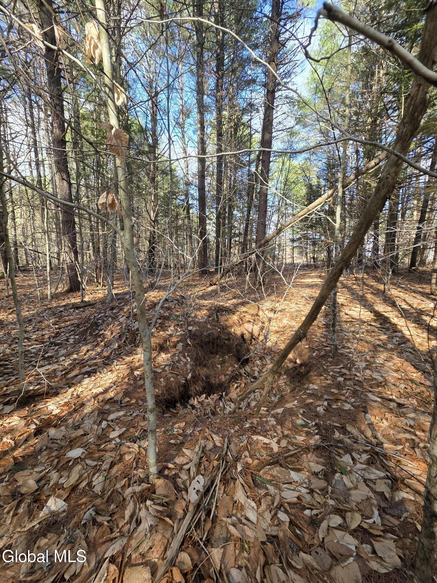L32 Schroon River Road Warrensburg, NY 12885 - Photo 11 of 18 Remnants of Test Pit