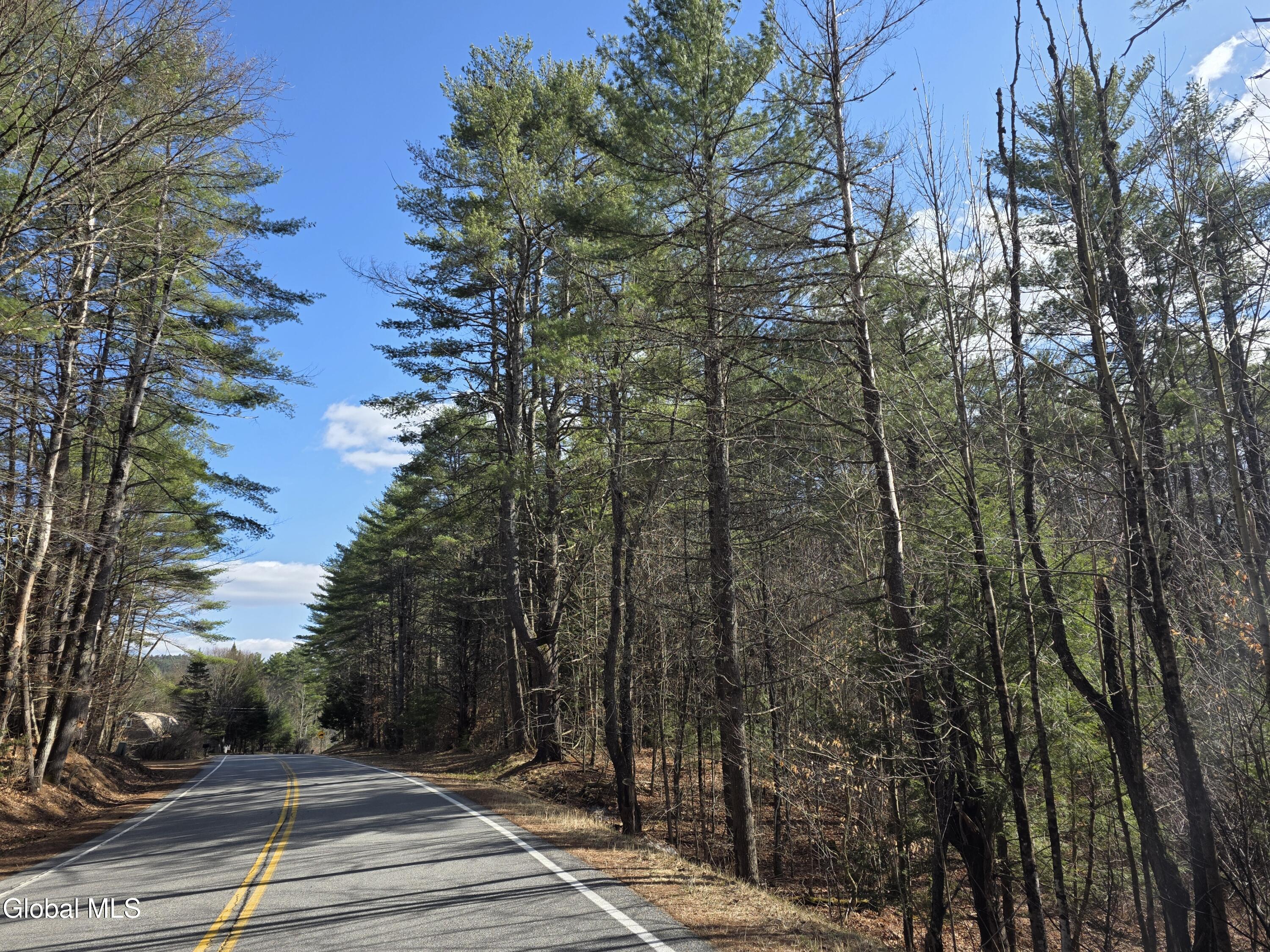 L32 Schroon River Road Warrensburg, NY 12885 - Photo 2 of 18 L32 Schroon River Road