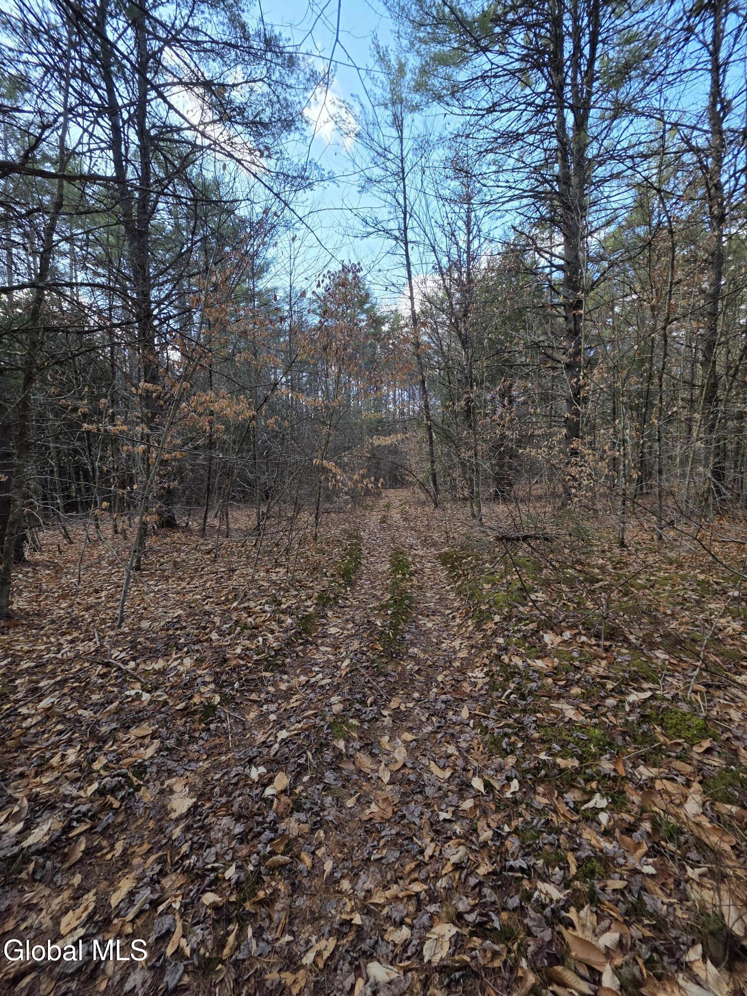 L32 Schroon River Road Warrensburg, NY 12885 - Photo 5 of 18 20260411_162713