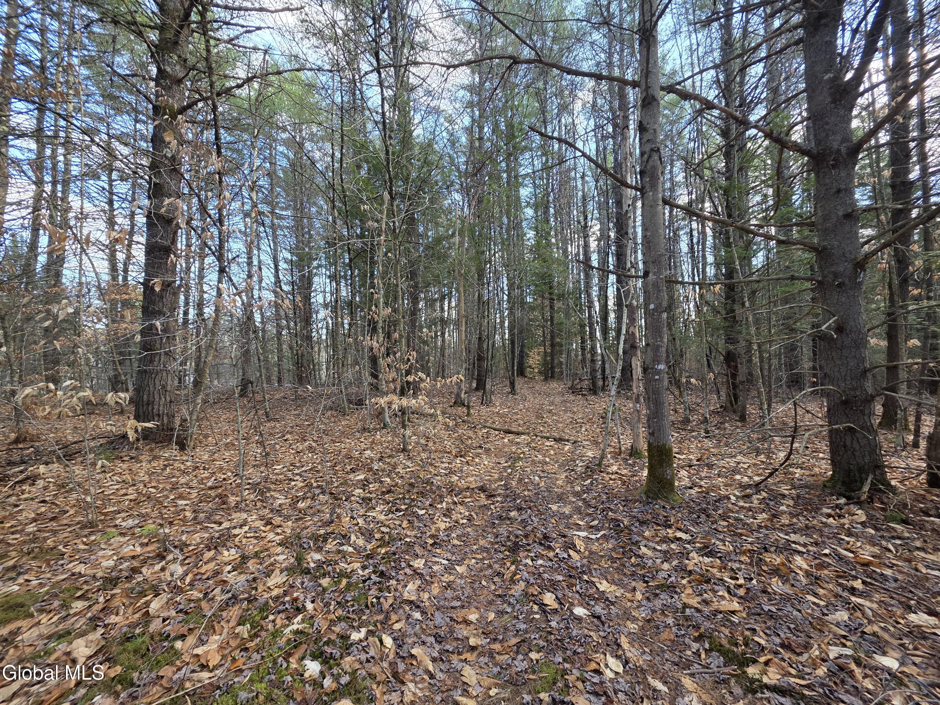L32 Schroon River Road Warrensburg, NY 12885 - Photo 6 of 18 20260411_162722