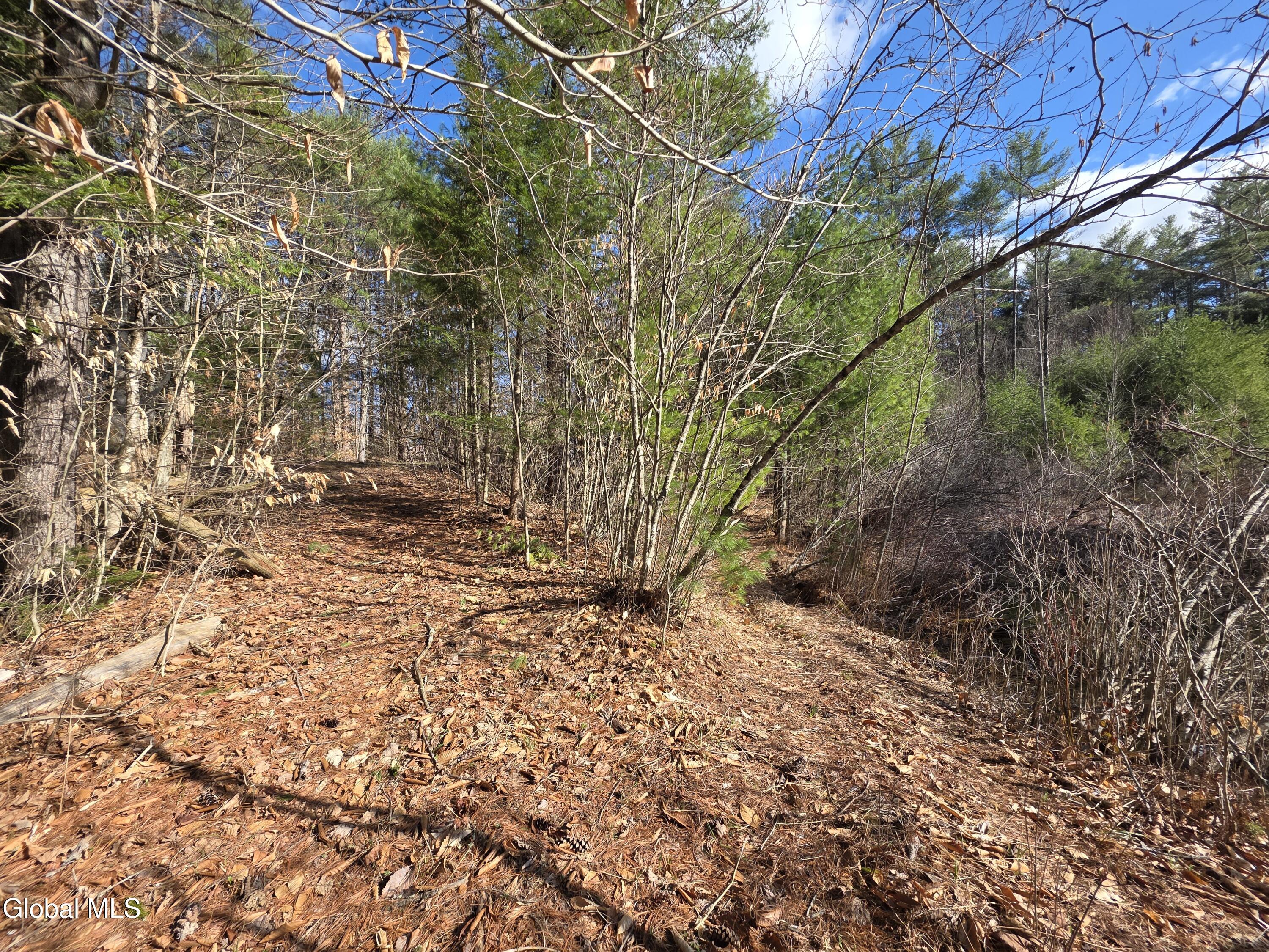 L32 Schroon River Road Warrensburg, NY 12885 - Photo 10 of 18 20260411_163028