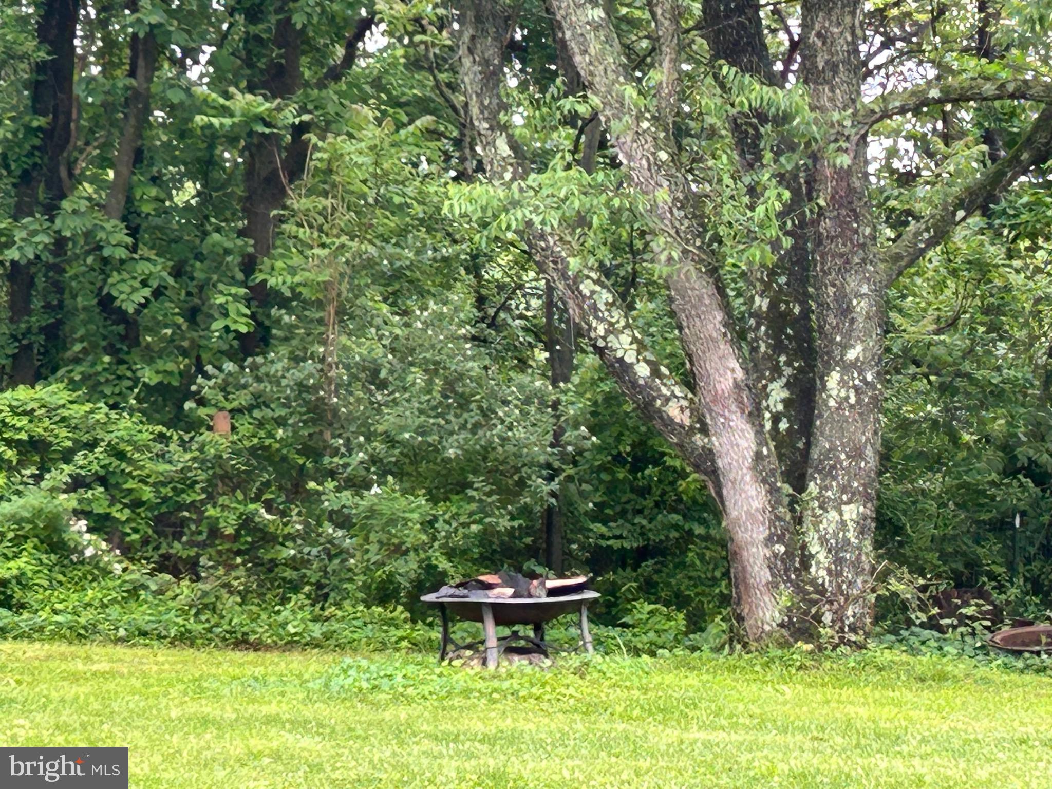 3825 Salem Bottom Road Westminster, MD 21157 - Photo 38 of 43 a view of a backyard with table and chairs potted plants and tree