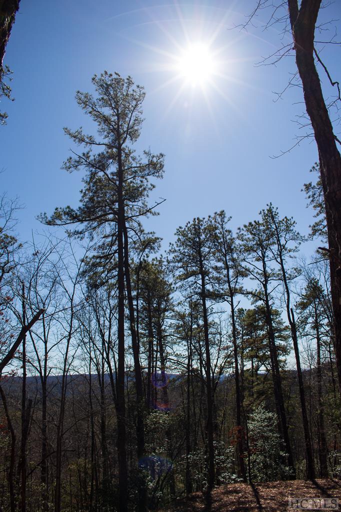 Lot Oak Oak Laurel Road Brevard, NC 28712 - Photo 4 of 13 Gallery Image 4