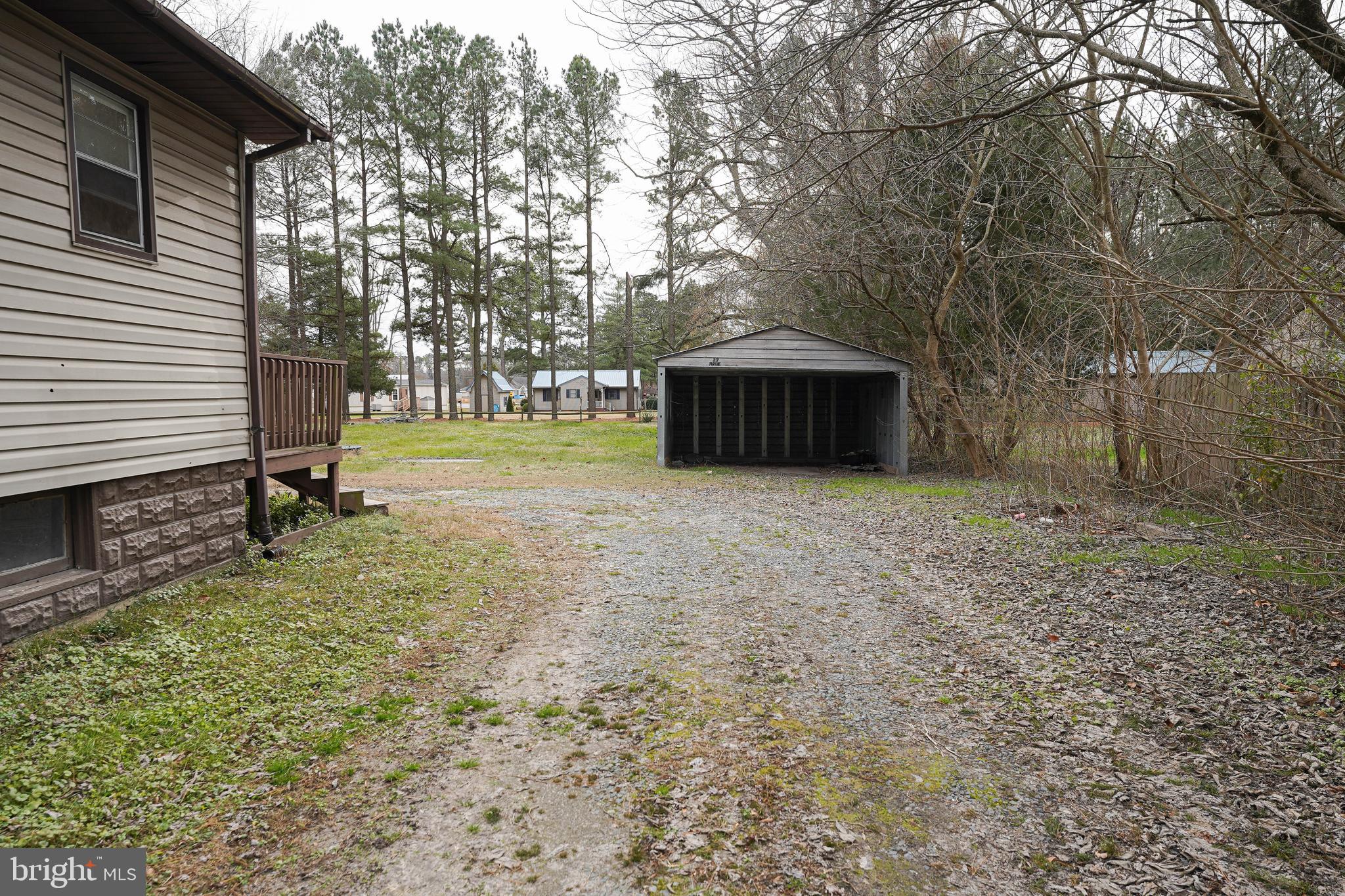 31339 Old Ocean City Road Salisbury, MD 21804 - Photo 5 of 52 a view of backyard with tree