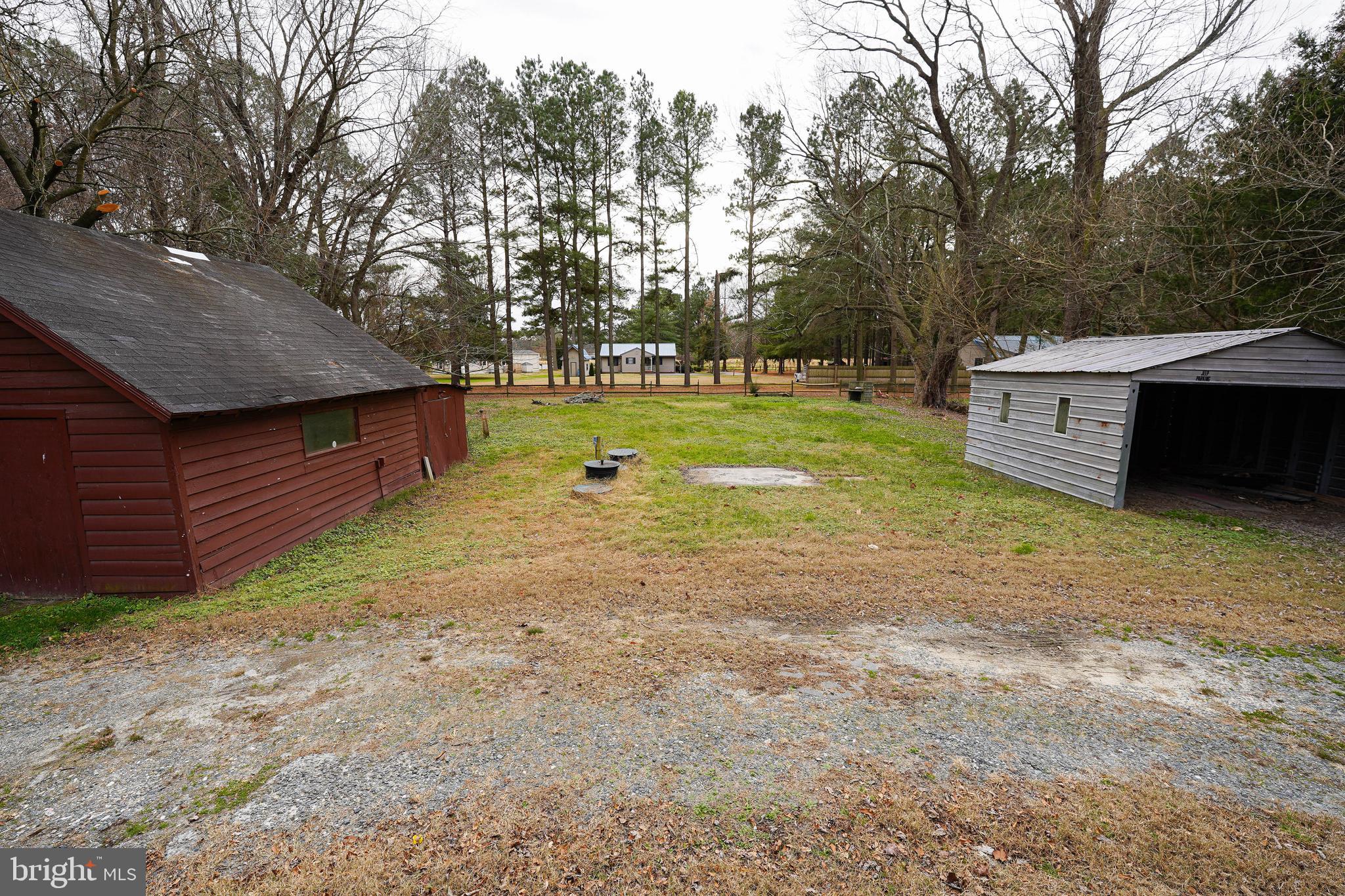 31339 Old Ocean City Road Salisbury, MD 21804 - Photo 8 of 52 a view of a backyard with large trees