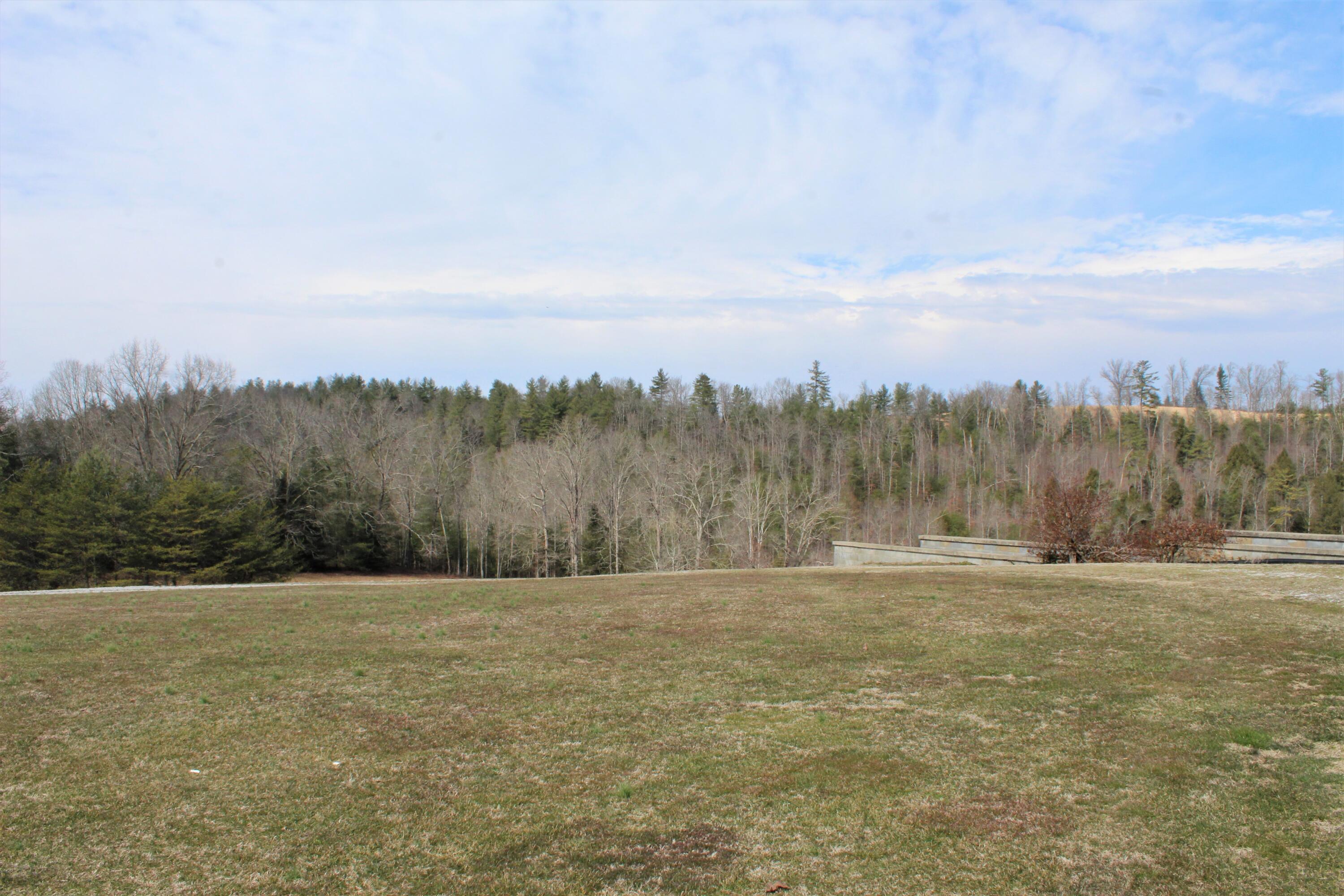 1245 North Shady Lane Road Campton, KY 41301 - Photo 12 of 96 013 open meadow looking over the creek v