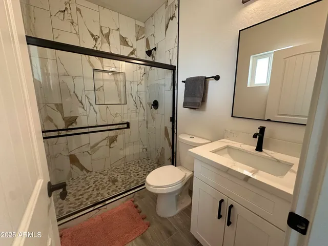 a bathroom with a sink a toilet a mirror and shower