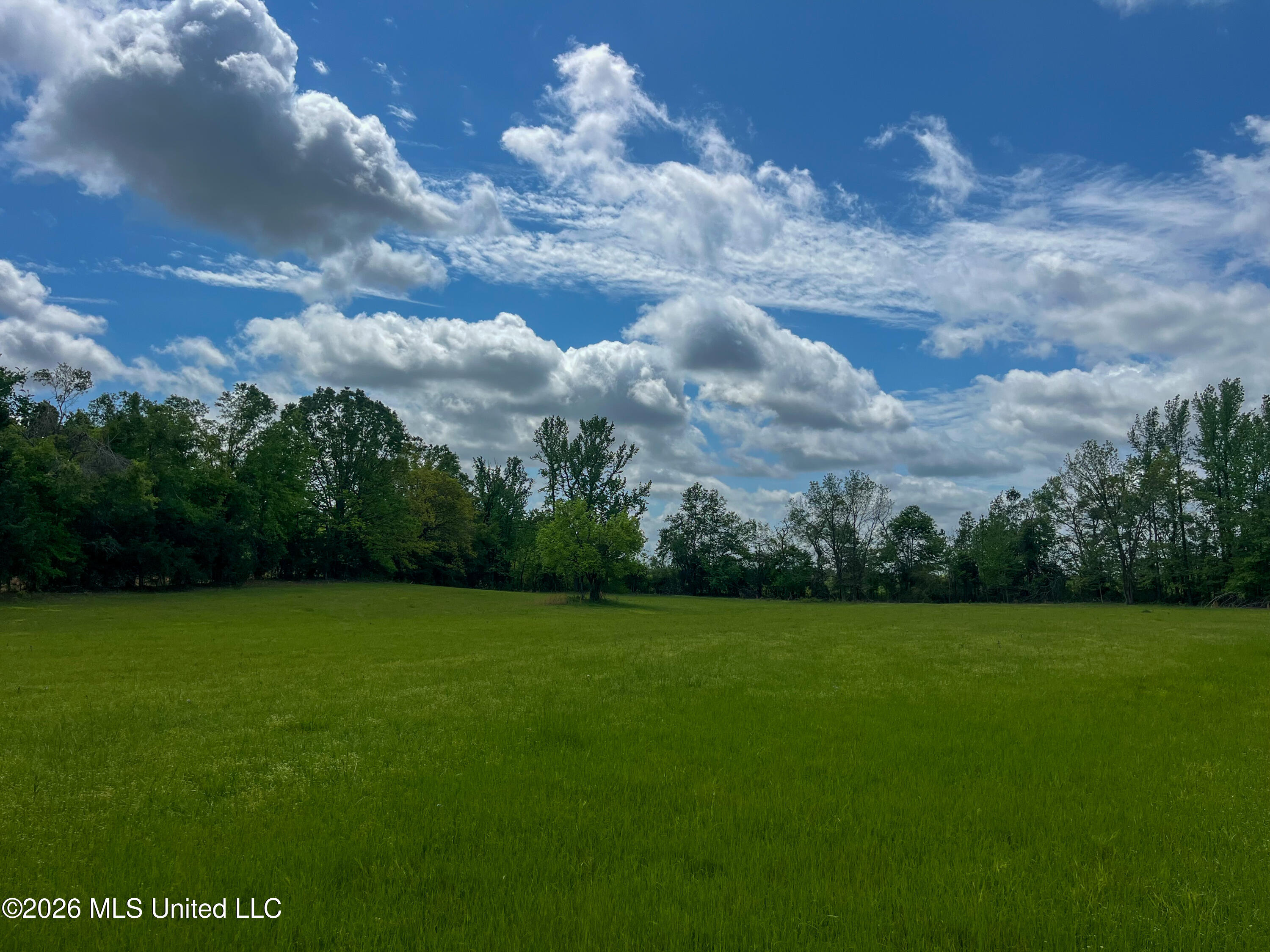 Sweetwater Road Lexington, MS 39095 - Photo 11 of 26 IMG_2878