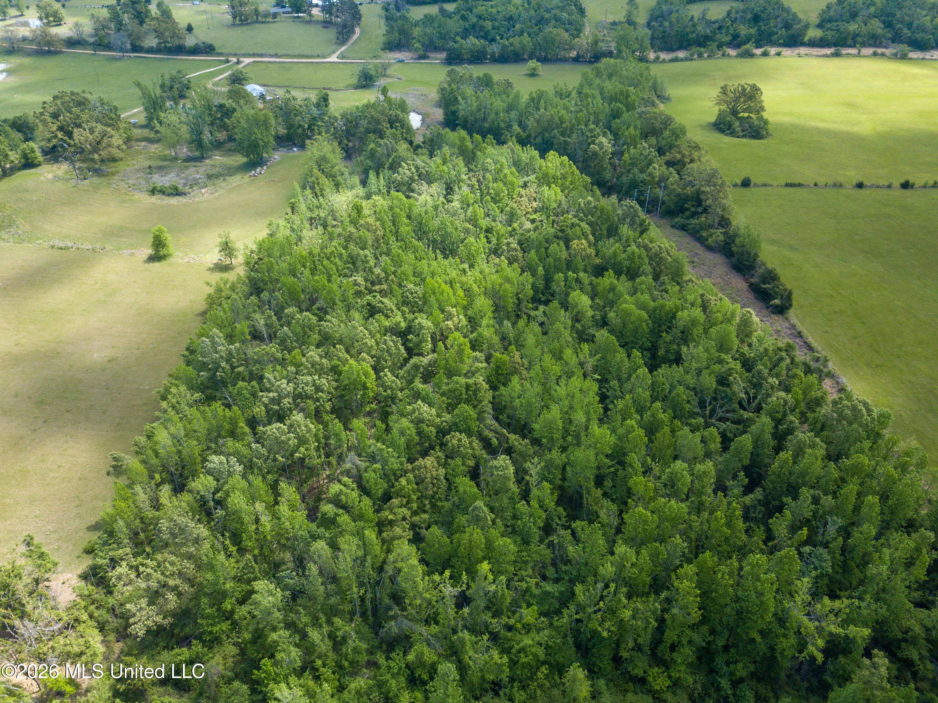Sweetwater Road Lexington, MS 39095 - Photo 14 of 26 DJI_0805