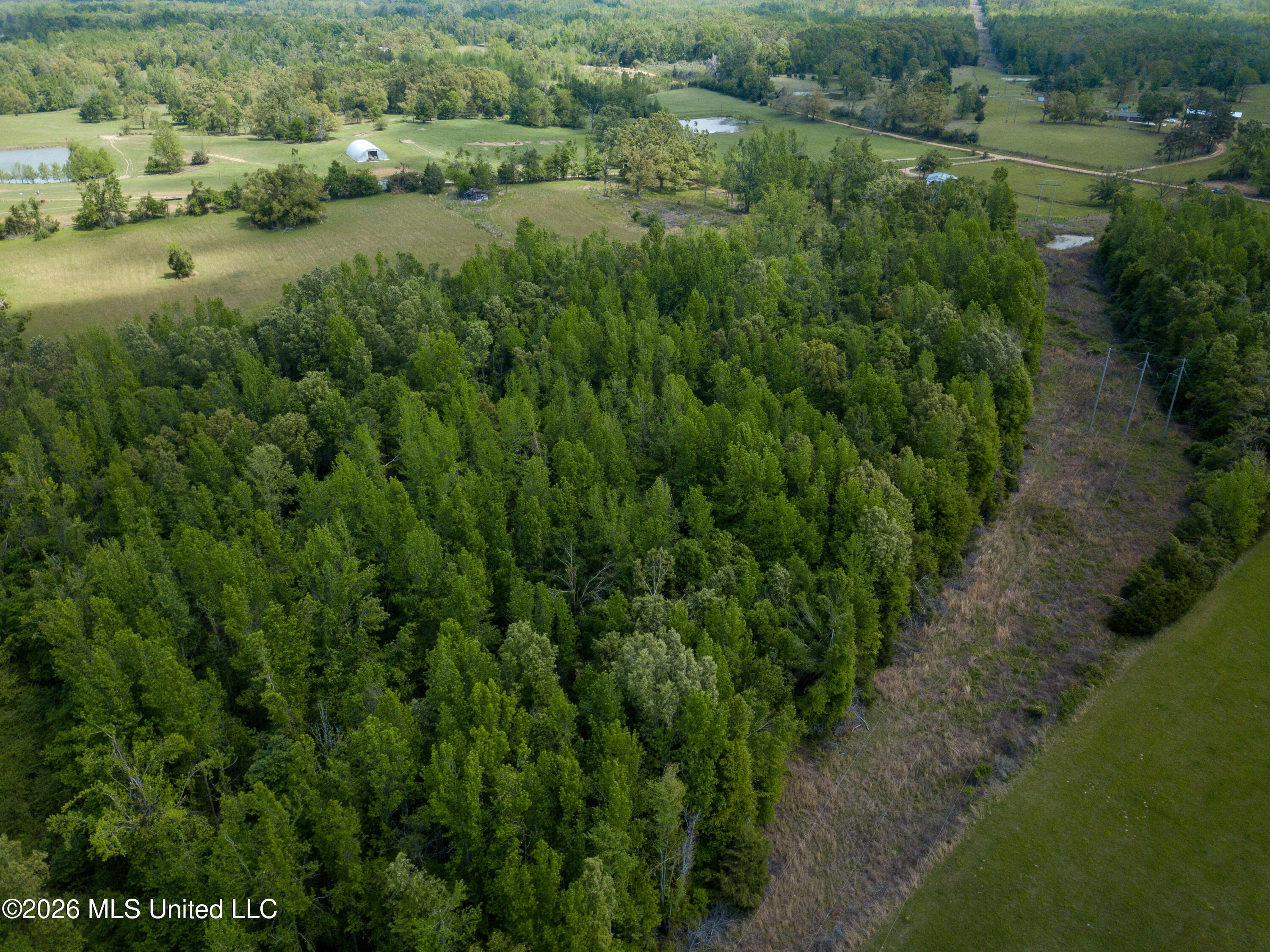 Sweetwater Road Lexington, MS 39095 - Photo 15 of 26 DJI_0806