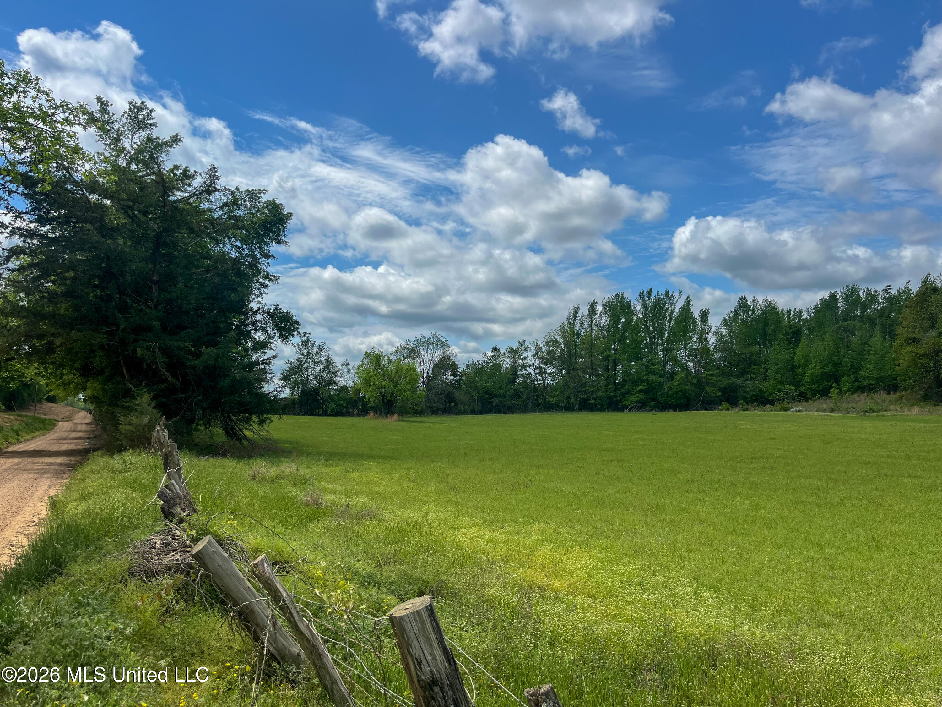 Sweetwater Road Lexington, MS 39095 - Photo 20 of 26 IMG_2876