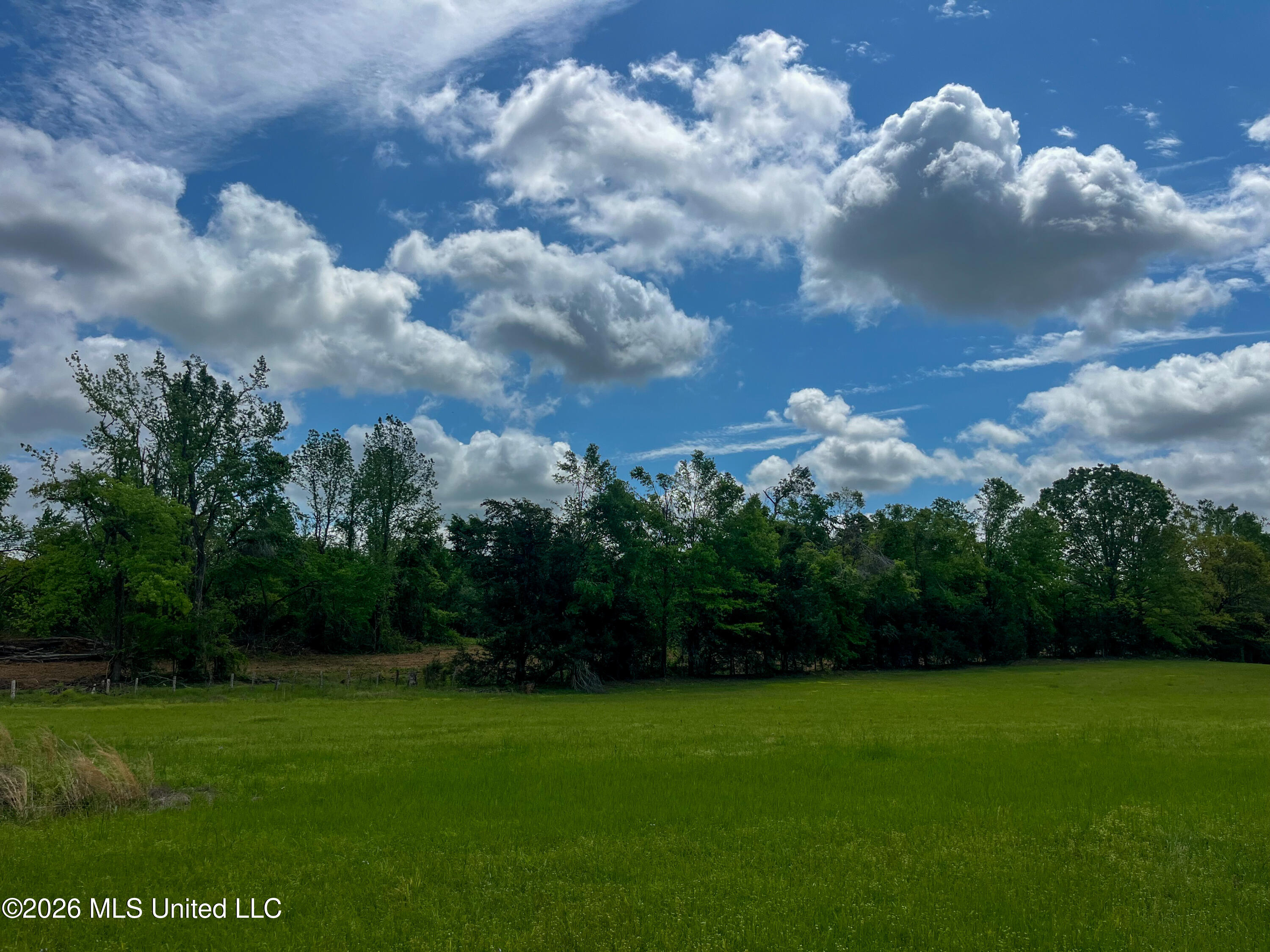 Sweetwater Road Lexington, MS 39095 - Photo 22 of 26 IMG_2880