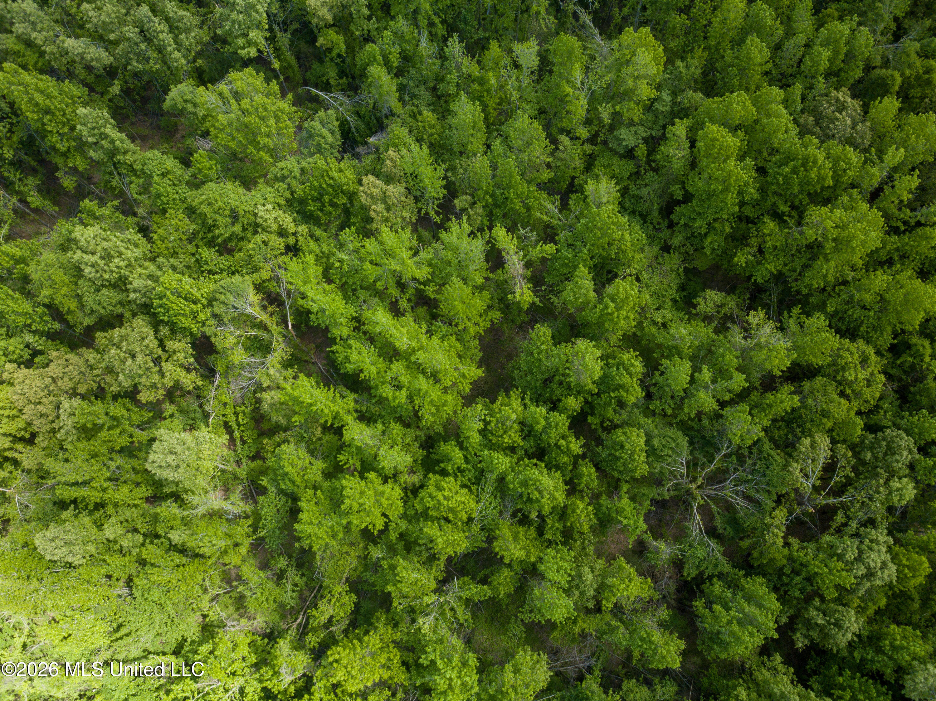 Sweetwater Road Lexington, MS 39095 - Photo 6 of 26 DJI_0807