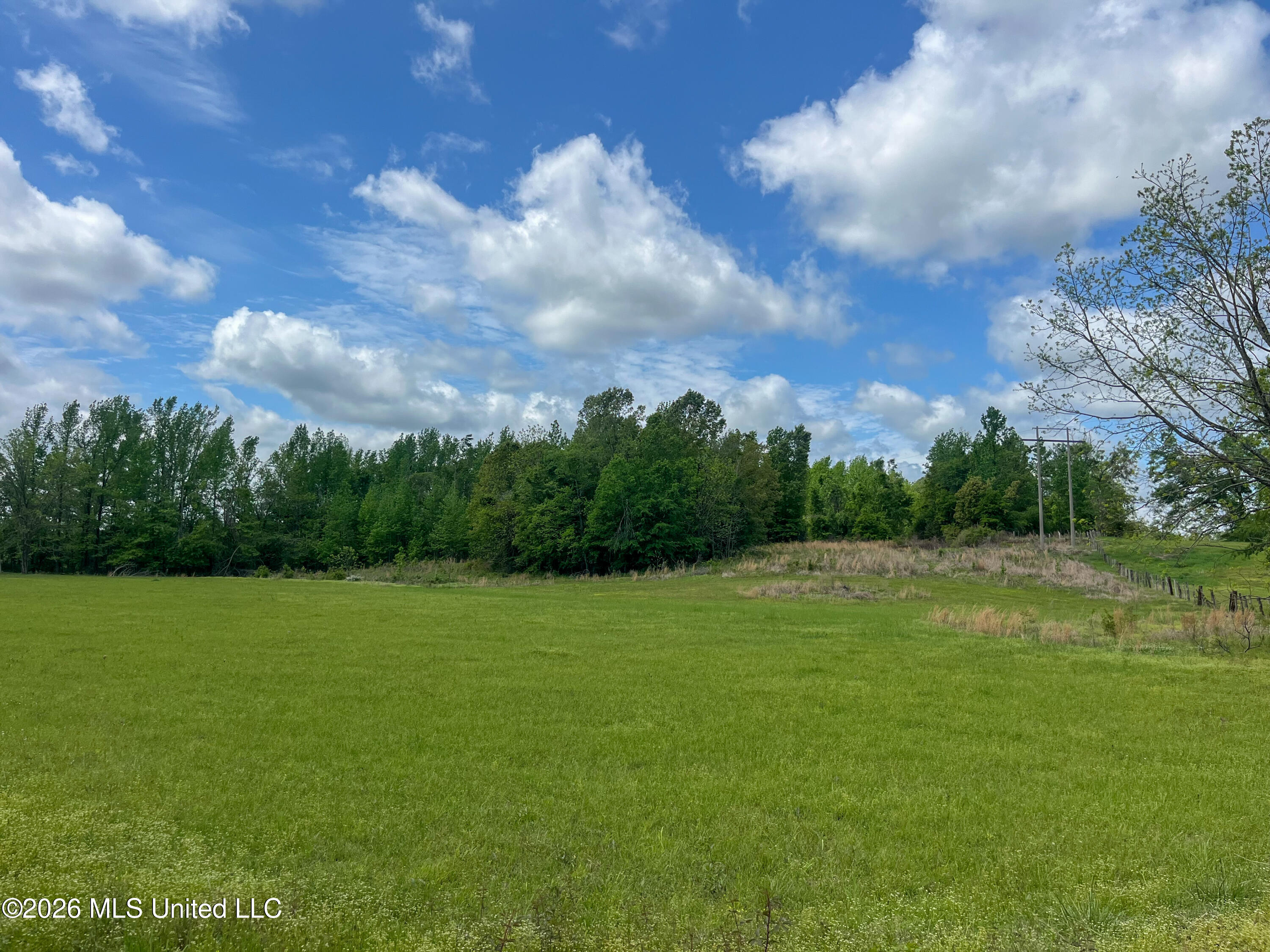 Sweetwater Road Lexington, MS 39095 - Photo 7 of 26 IMG_2877