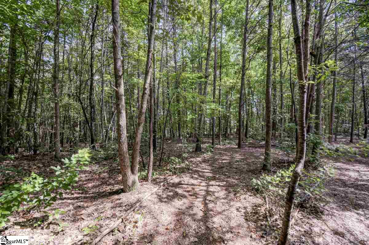 211 Red Hill Road Landrum, SC 29356 - Photo 33 of 36