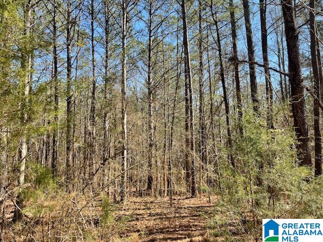 140 County Road, Unit 27± AC Wadley, AL 36276 - Photo 1 of 8