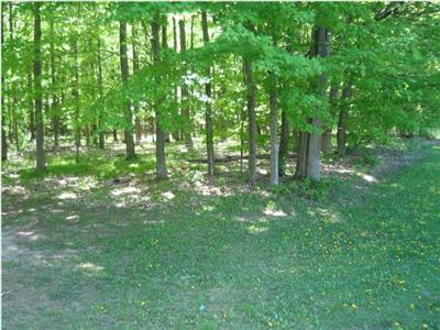11893 Bailey Road Morley, MI 49336 - Photo 20 of 22 Additional Photo