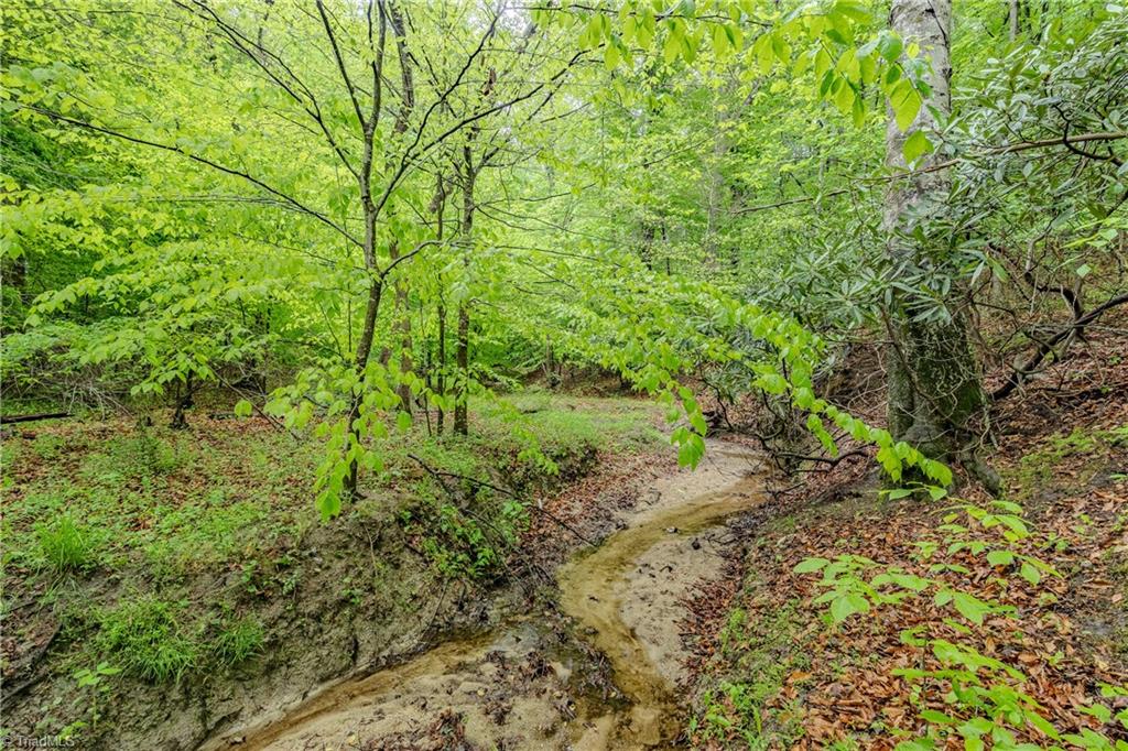 Tbd Splendor Lane Mount Airy, NC 27030 - Photo 1 of 11 Gallery Image 1
