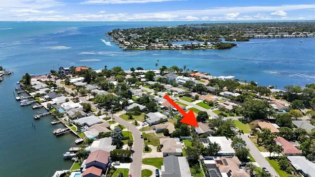 a white house with a yard plants and large trees