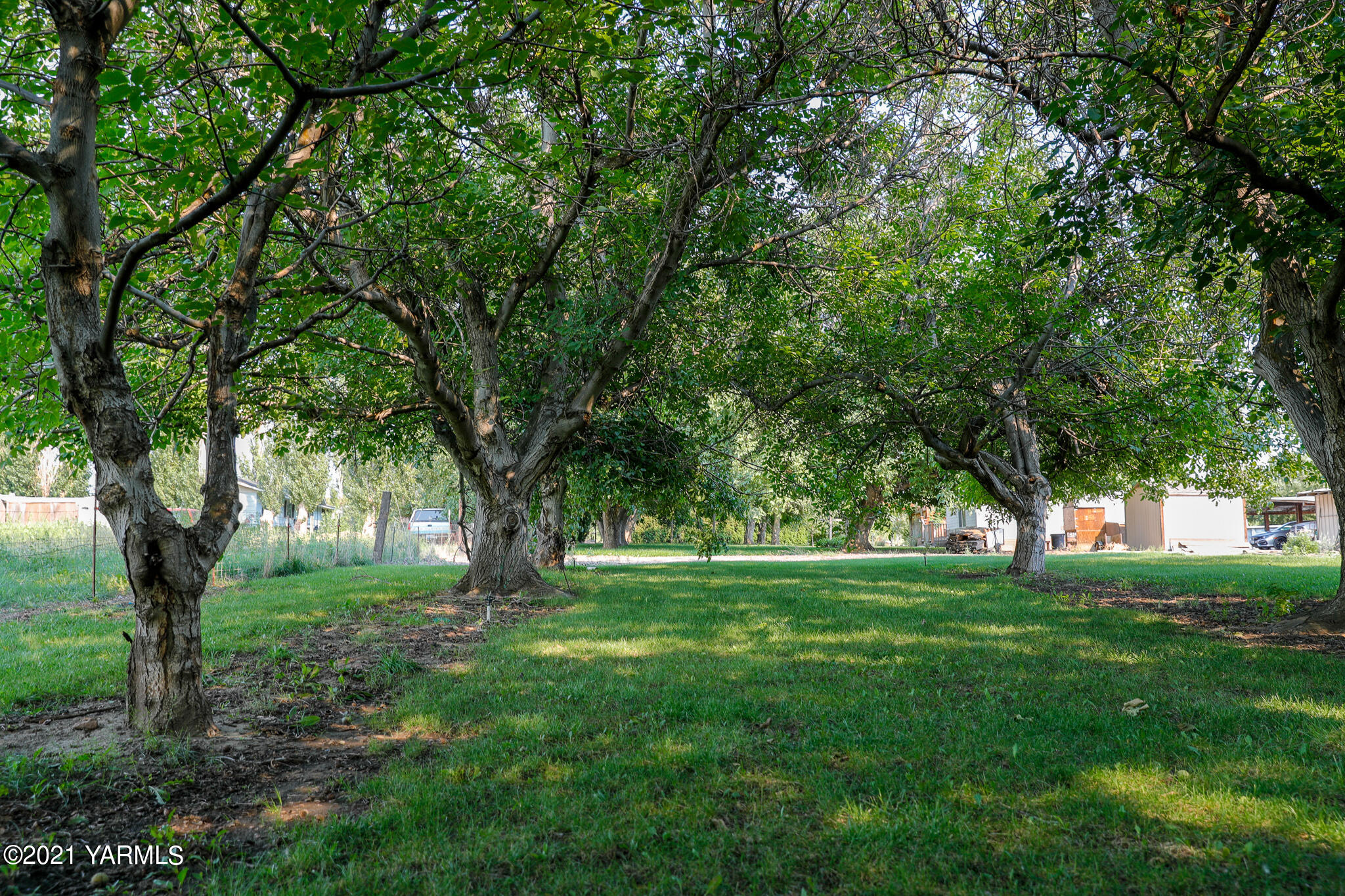340 Beane Road Moxee, WA 98936 - Photo 24 of 30 a big yard with lots of green space and trees