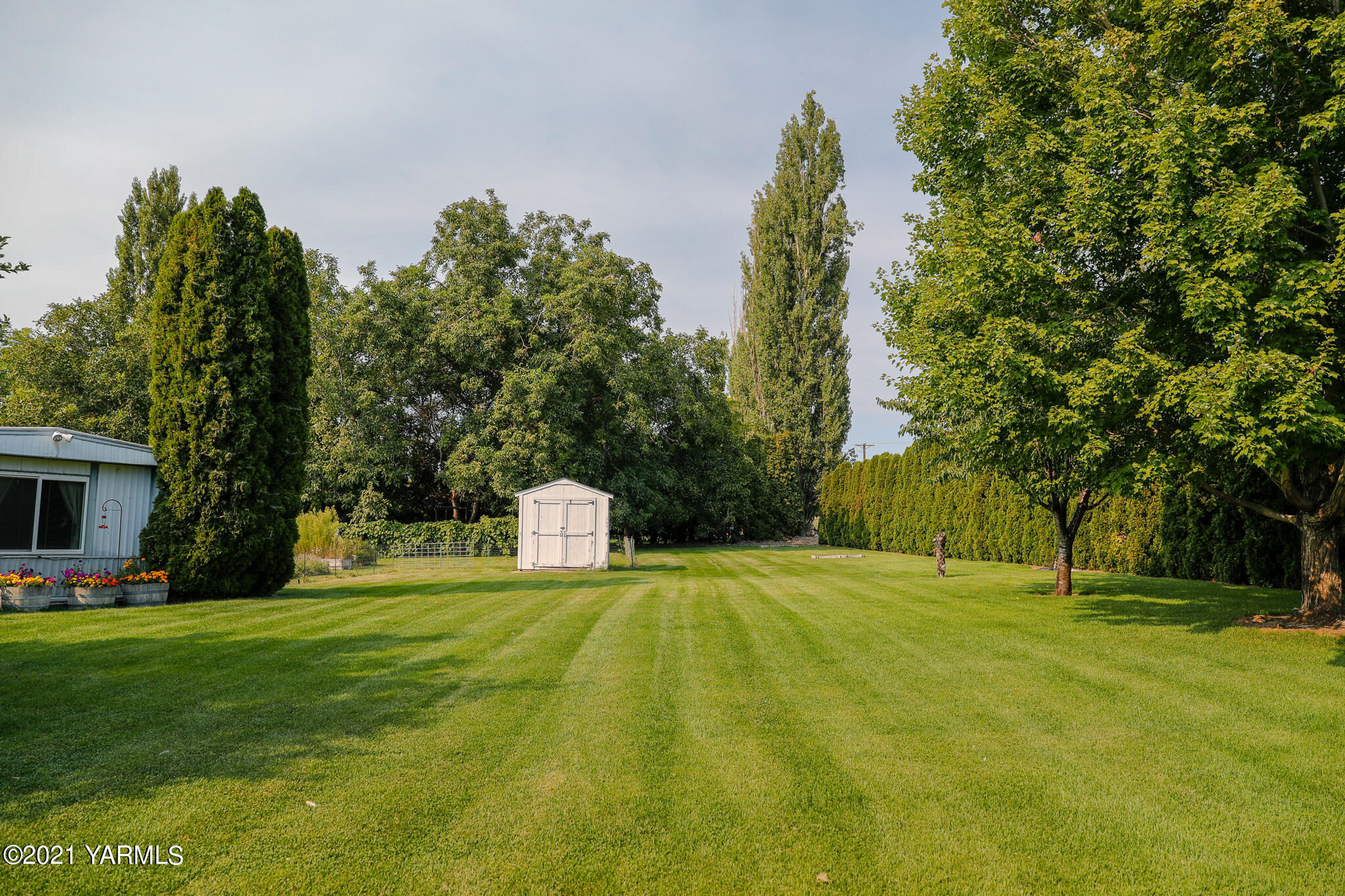 340 Beane Road Moxee, WA 98936 - Photo 5 of 30 a swimming pool with trees in the background
