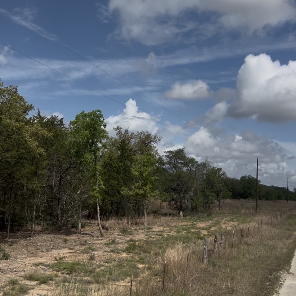 Lot 7 South Old Potato Road Paige, TX 78659 - Photo 6 of 22 Wooded property featuring mature trees and a natural landscape