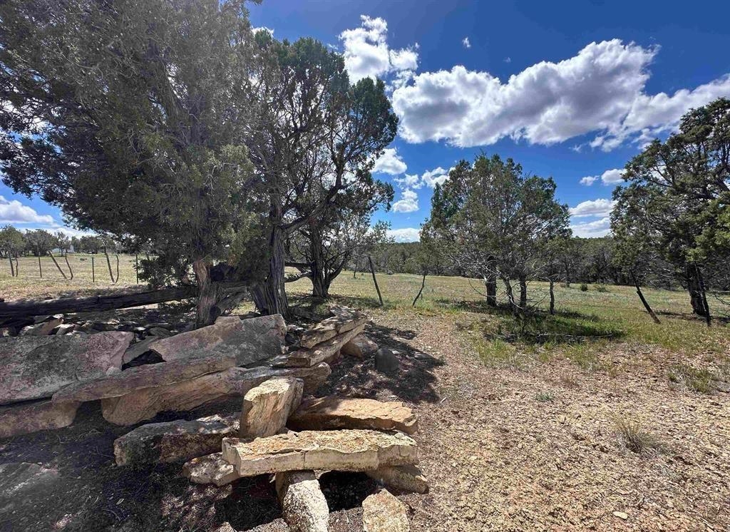 37838 Polson Road Crawford, CO 81415 - Photo 32 of 42 Gallery Image 32