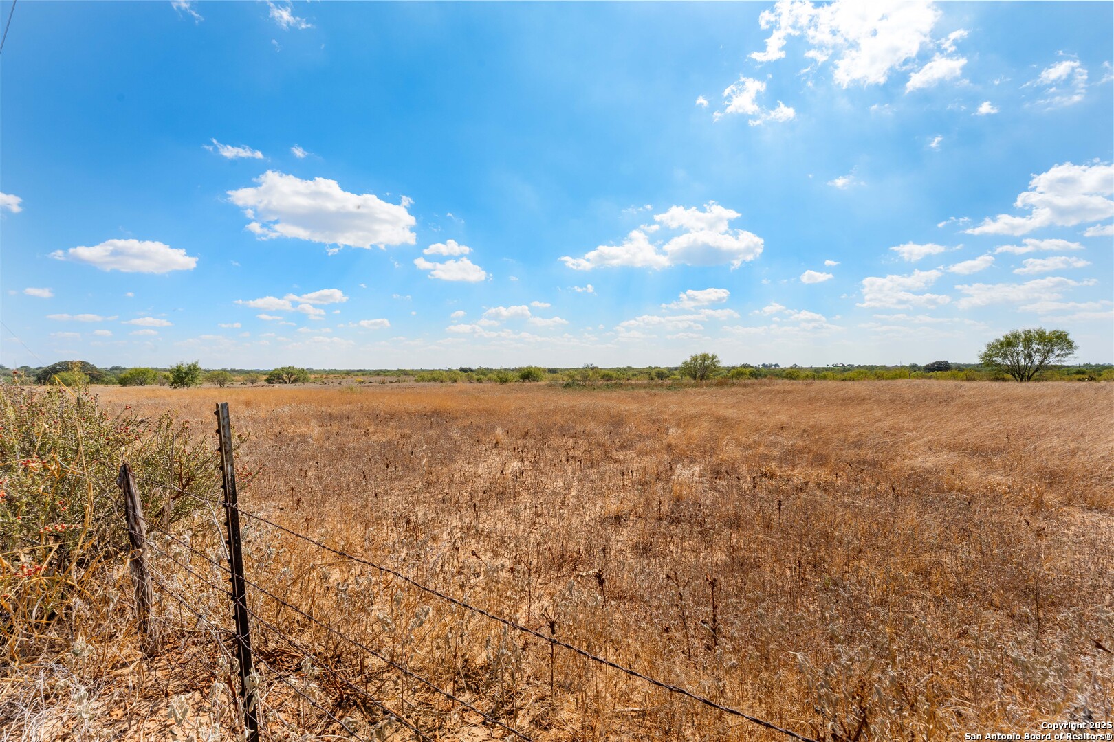 2853 Fm 1333 Poteet, TX 78065 - Photo 2 of 9 a view of lake and mountain