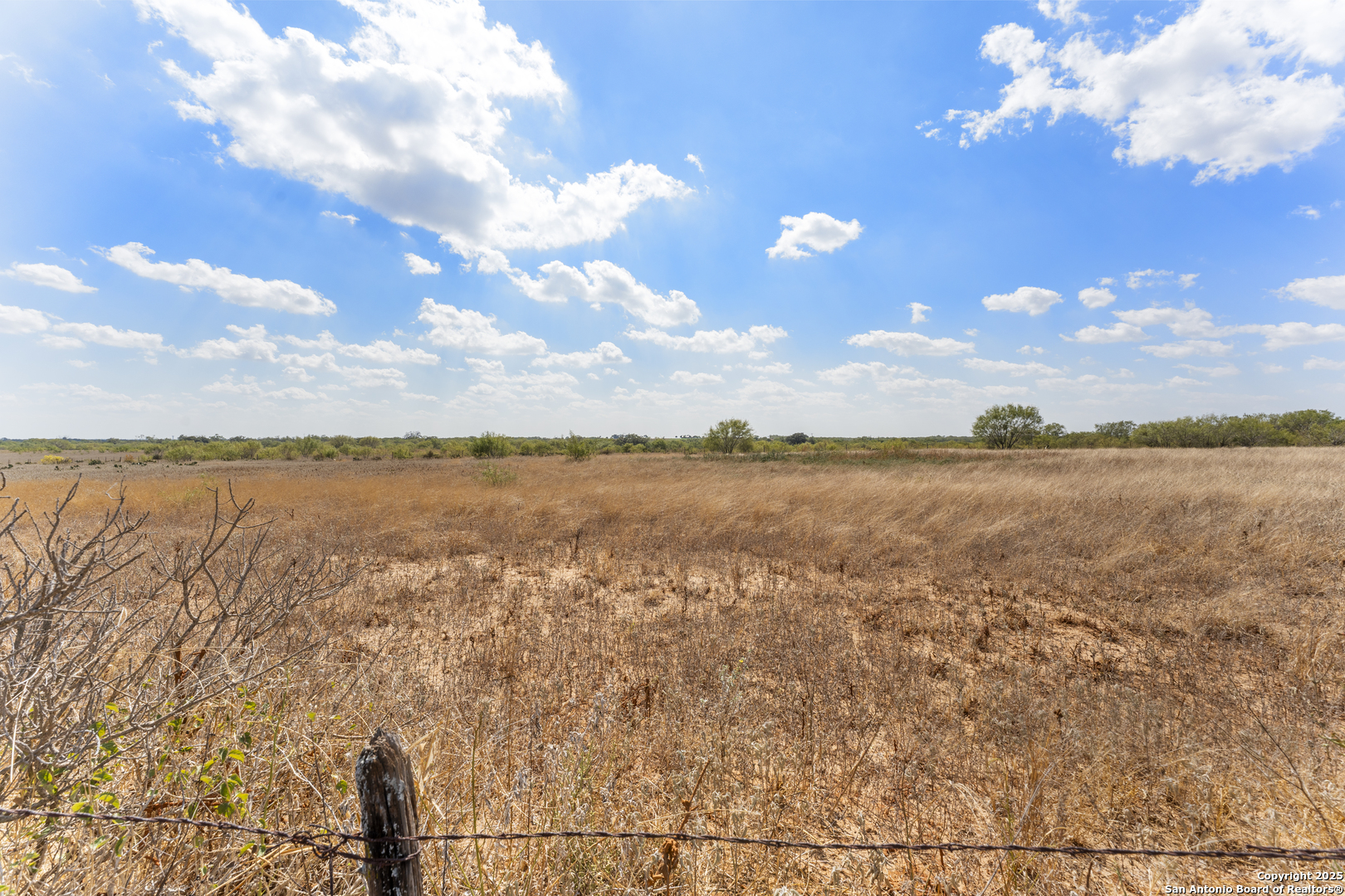 2853 Fm 1333 Poteet, TX 78065 - Photo 3 of 9 a view of a lake from a yard