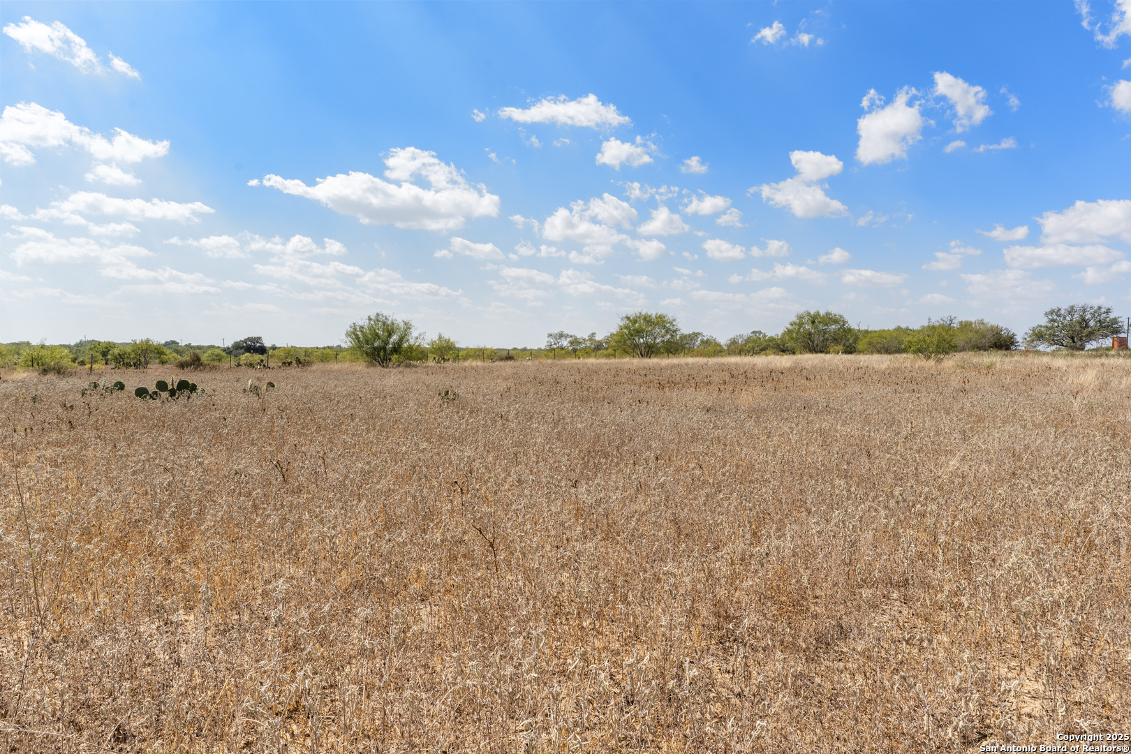 2853 Fm 1333 Poteet, TX 78065 - Photo 4 of 9 a view of lake view and mountain view