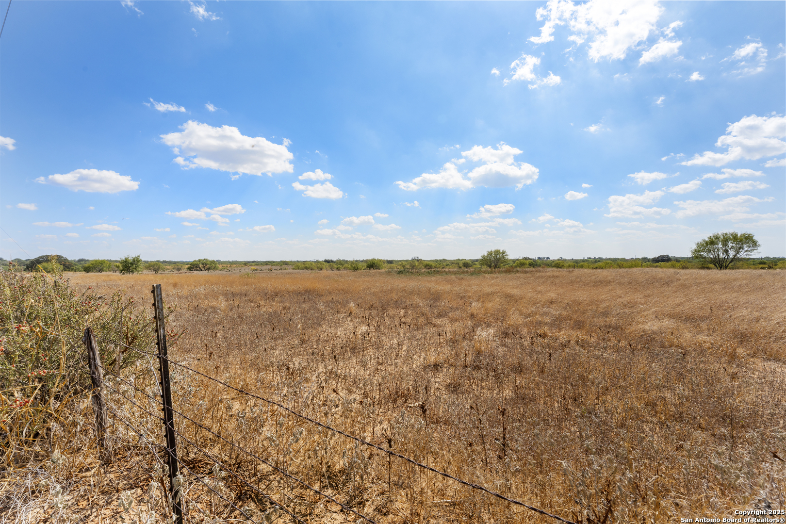 2853 Fm 1333 Poteet, TX 78065 - Photo 5 of 9 a view of lake and mountain