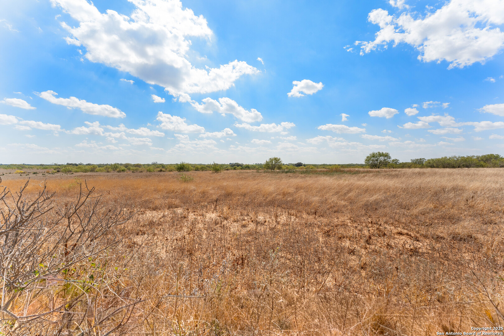 2853 Fm 1333 Poteet, TX 78065 - Photo 6 of 9 a view of a lake from a yard