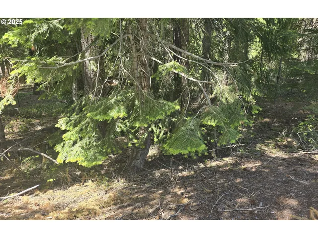 a view of outdoor space